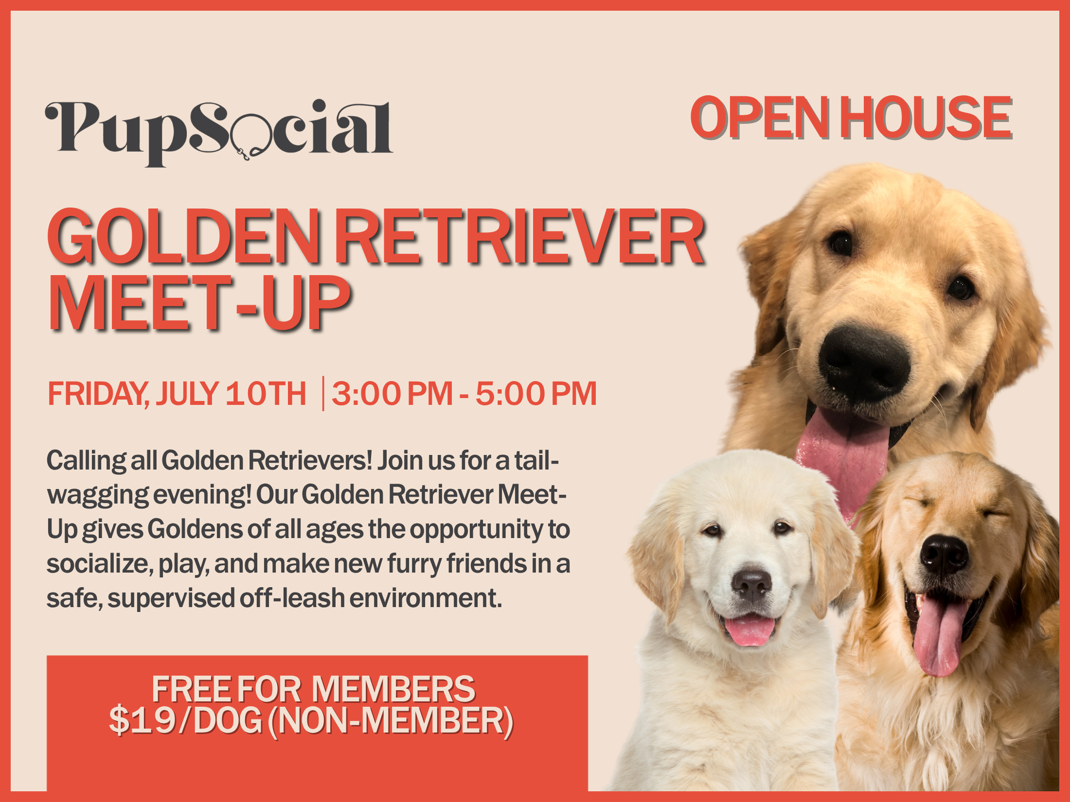 Golden Retriever Meet-up