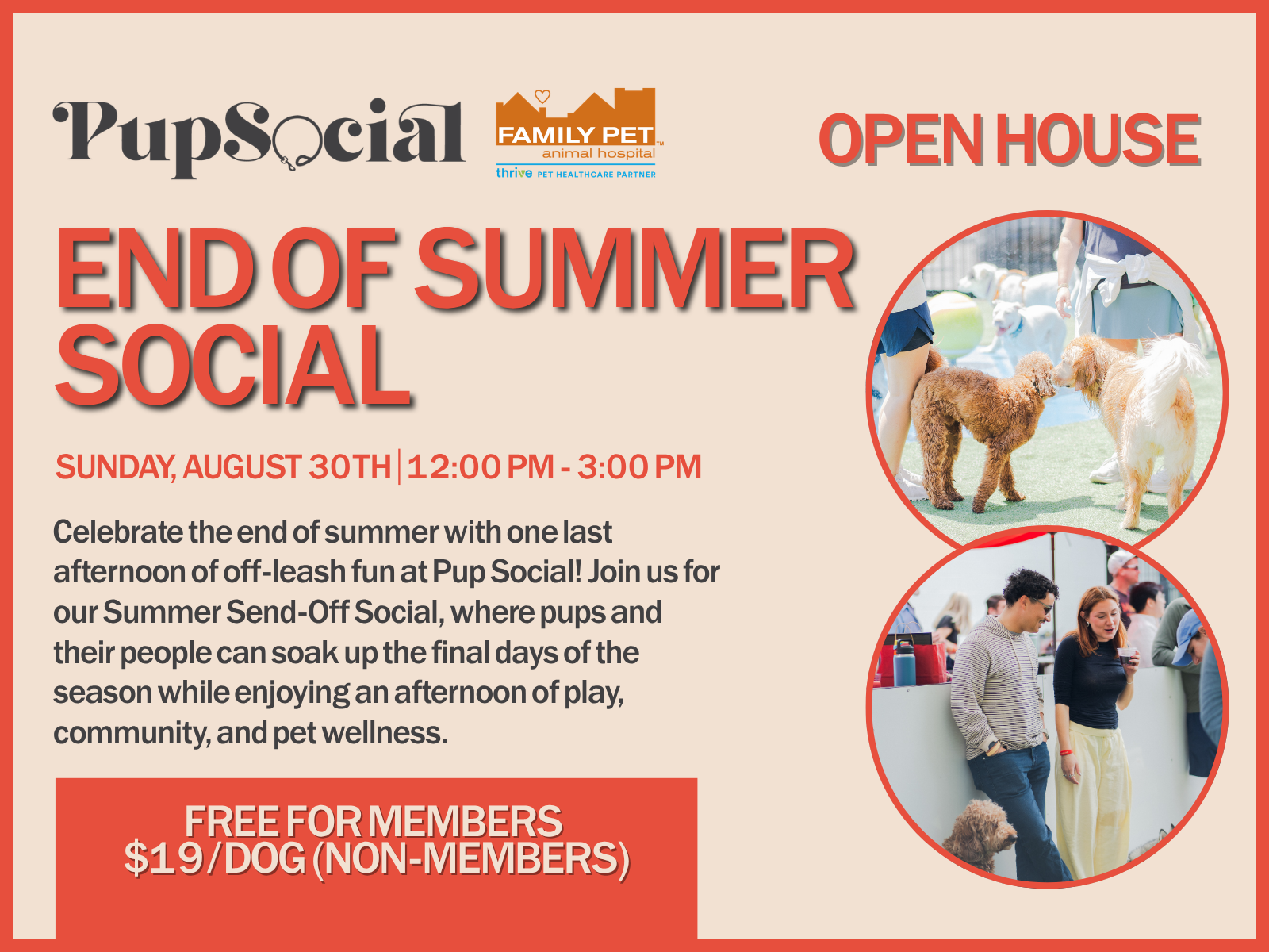 End of Summer Social&nbsp;