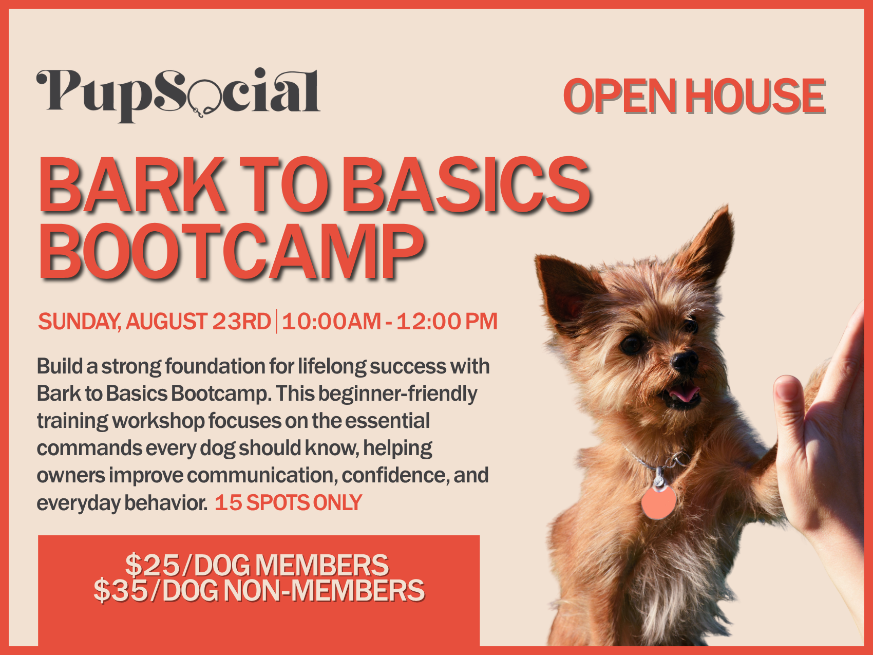 Bark to Basics Bootcamp (Day 2)