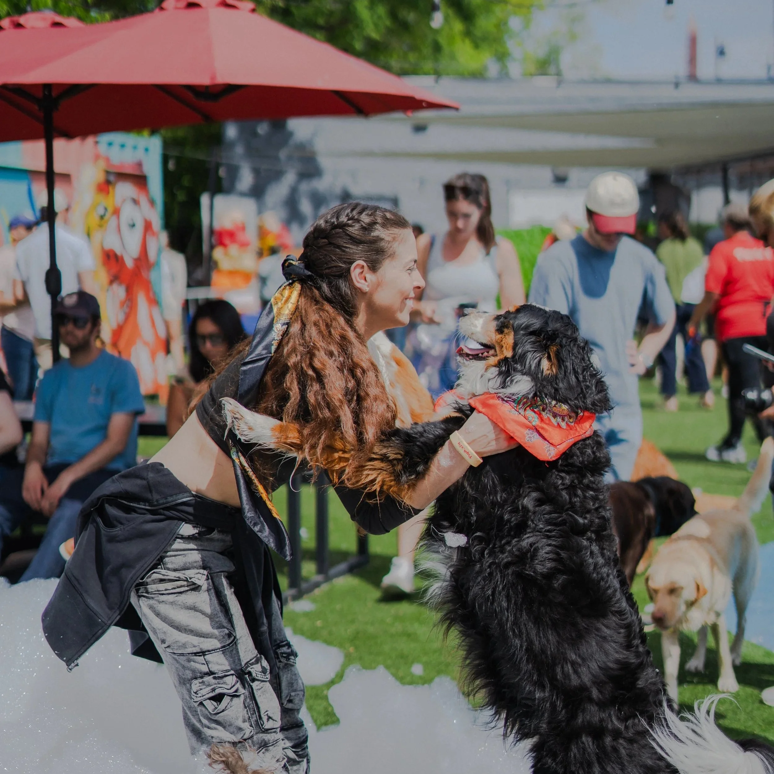 The New Corporate Happy Hours are Dog-Friendly