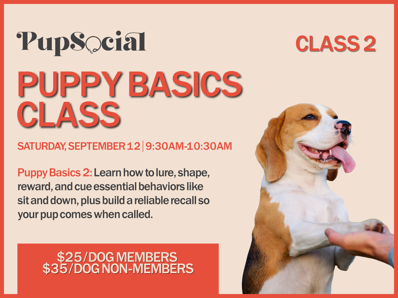 Puppy Basics Class 2