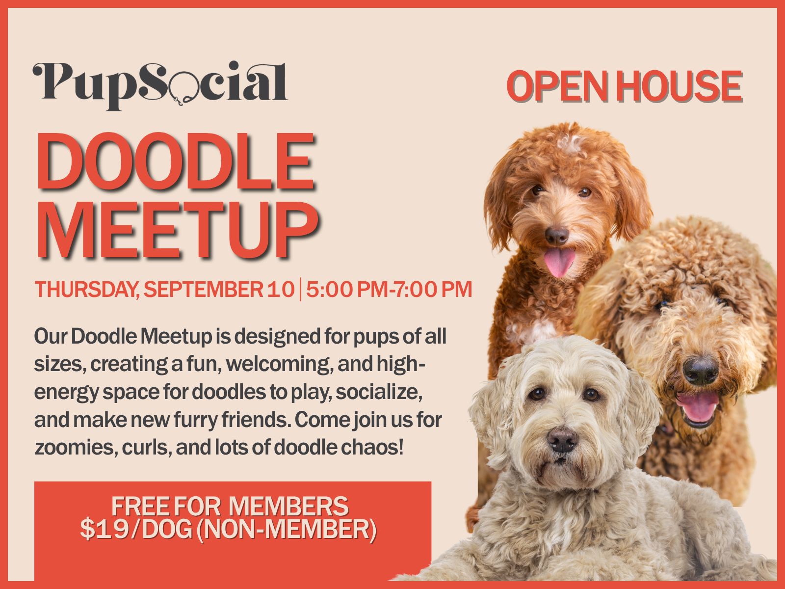 Doodle Meet-up