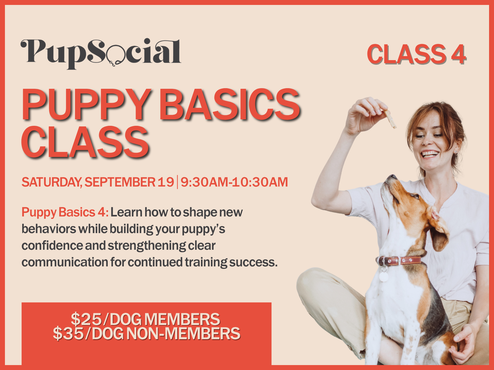Puppy Basics Class 4