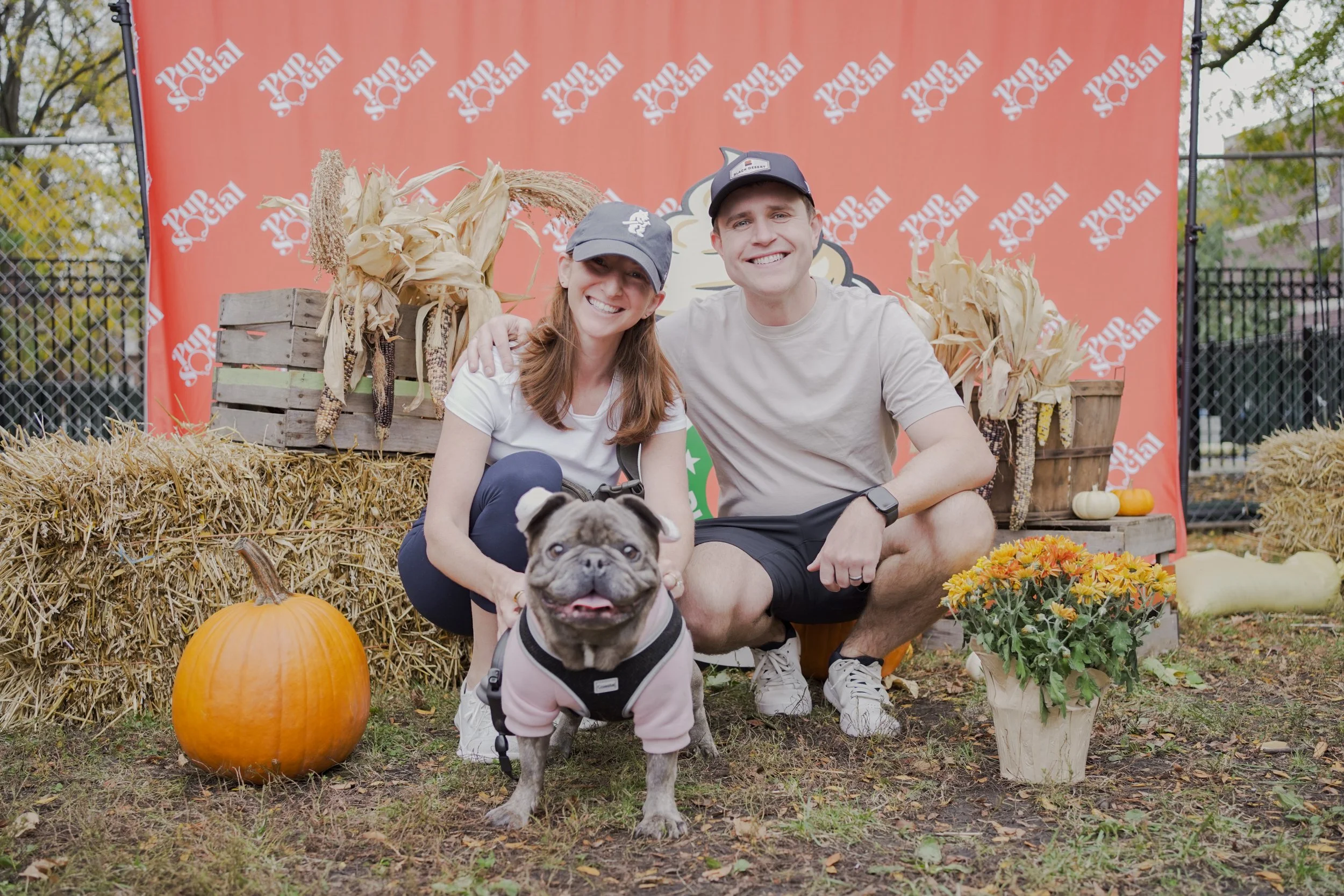 Chicago Halloween Dog Events 2026: The Guide for Pups &amp; Their People
