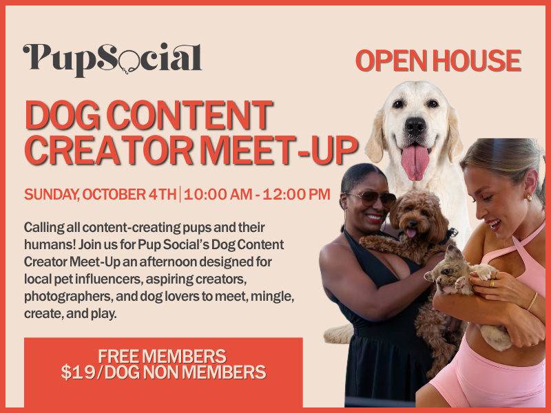 Dog Content Creator Meet-Up&nbsp;