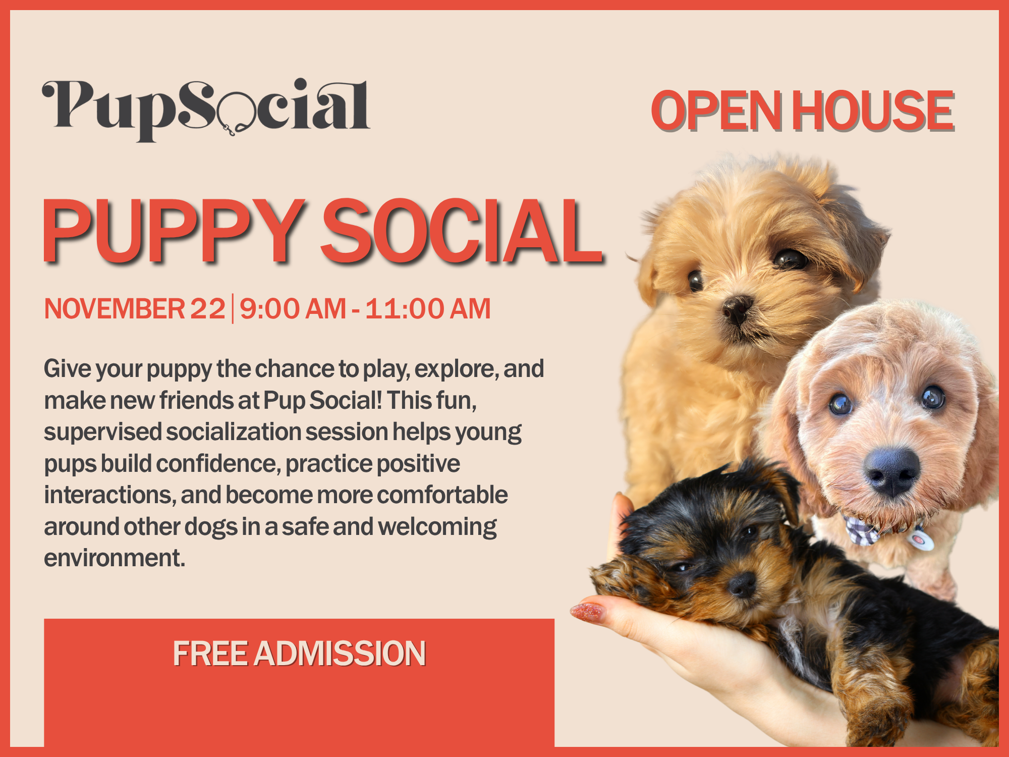 Puppy Social 