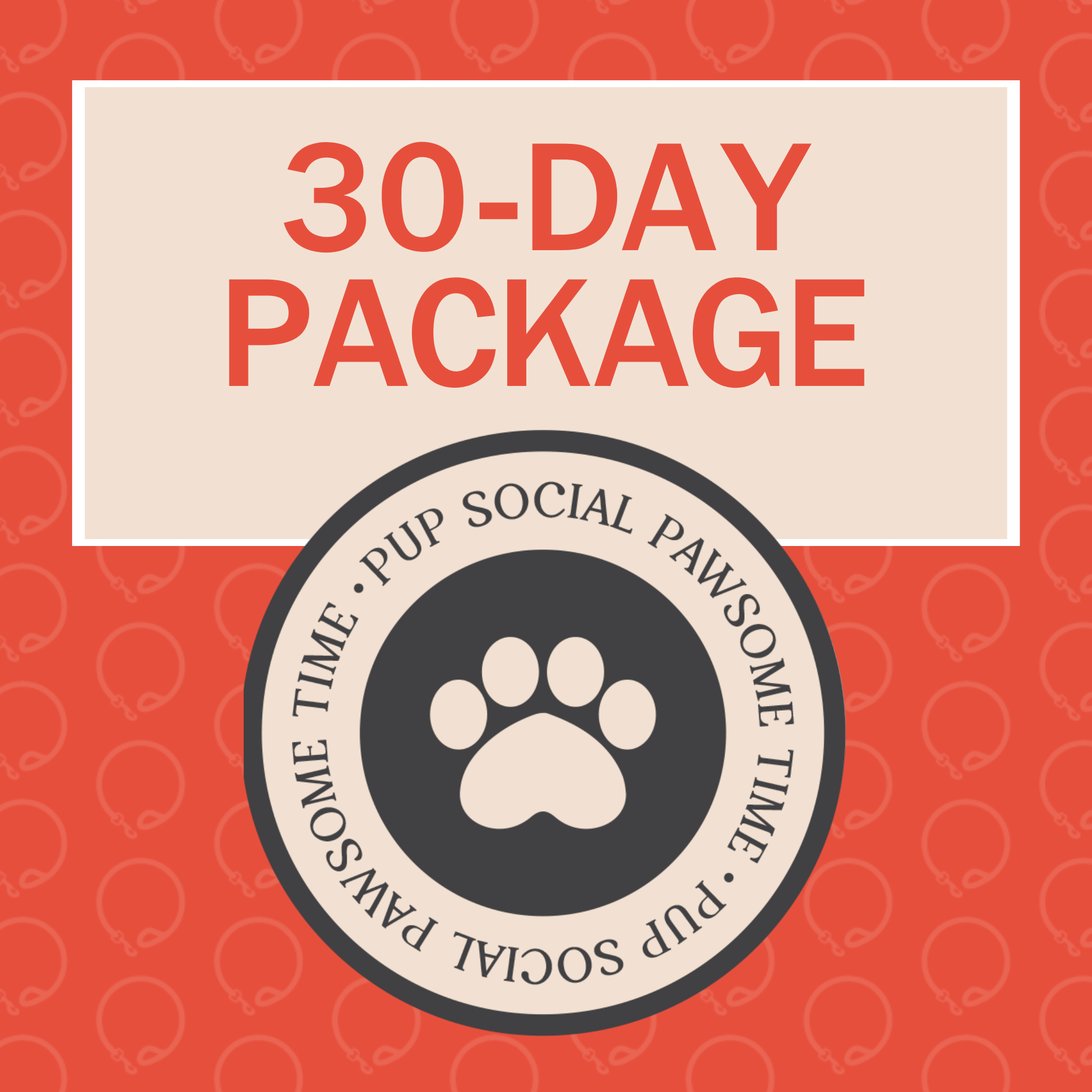 PS OFFLEASH PACKAGEL (10).png