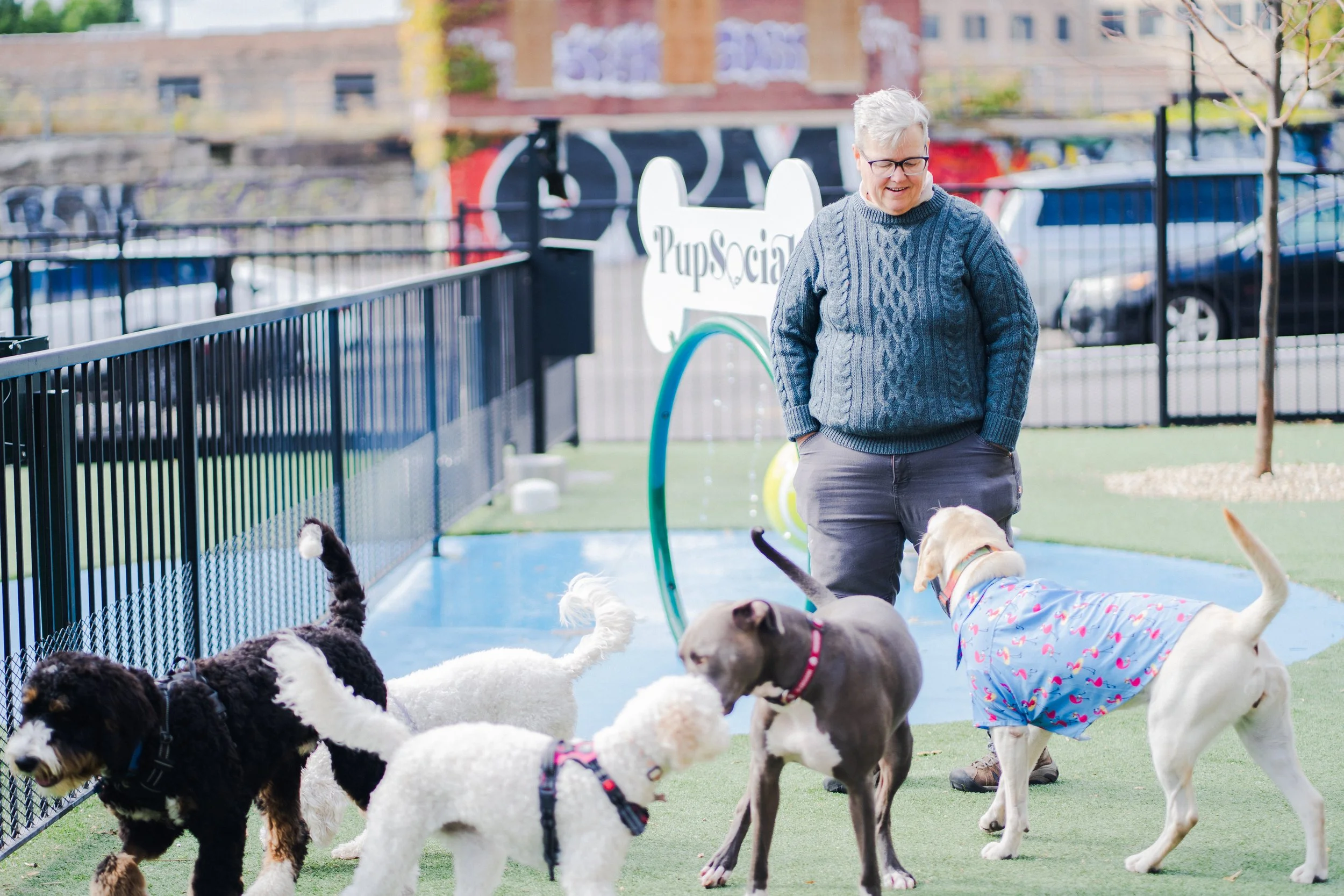 Dogs play in a fenced outdoor dog park at Pup Social while owners supervise in an urban setting.