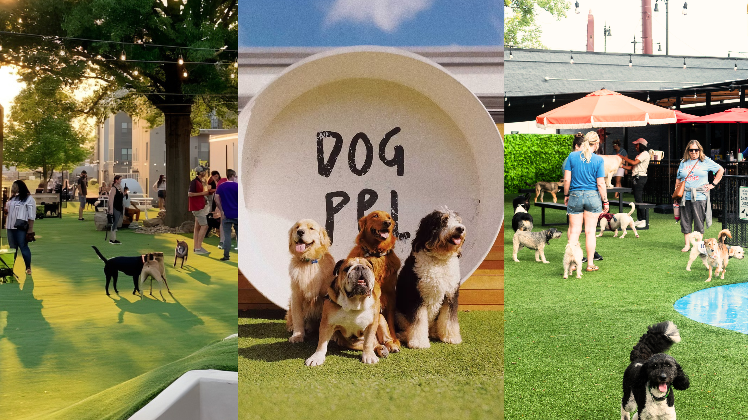 Compilation of private dog parks showing Skiptown, Dog PPL, and Pup Social outdoor play spaces with dogs and owners.