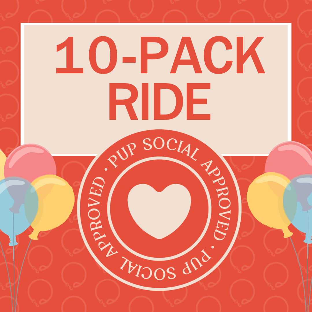 WAG'N 10-Pack Ride