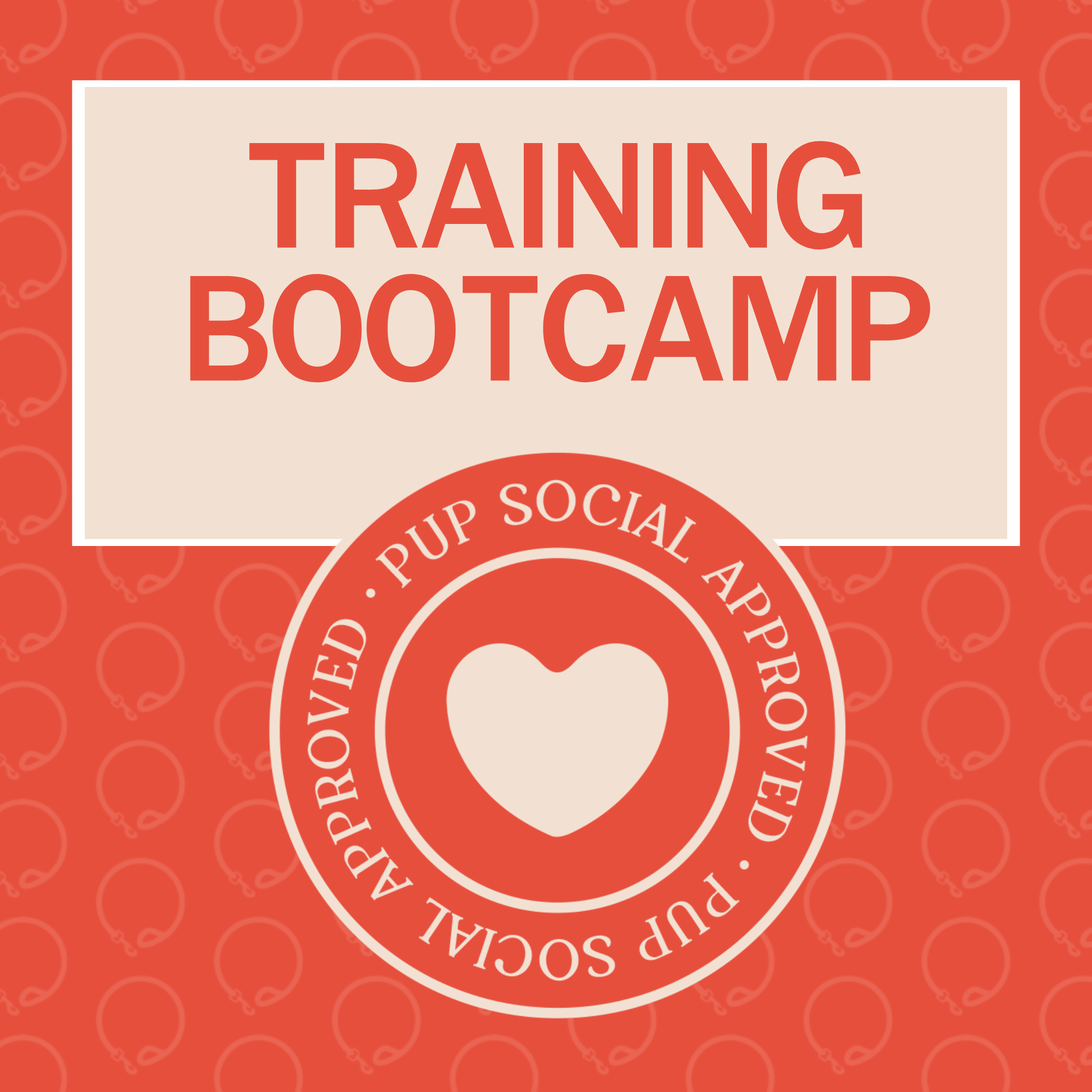 TRAINING BOOTCAMP