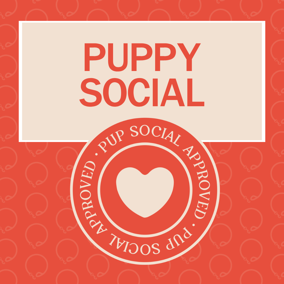 Puppy Social