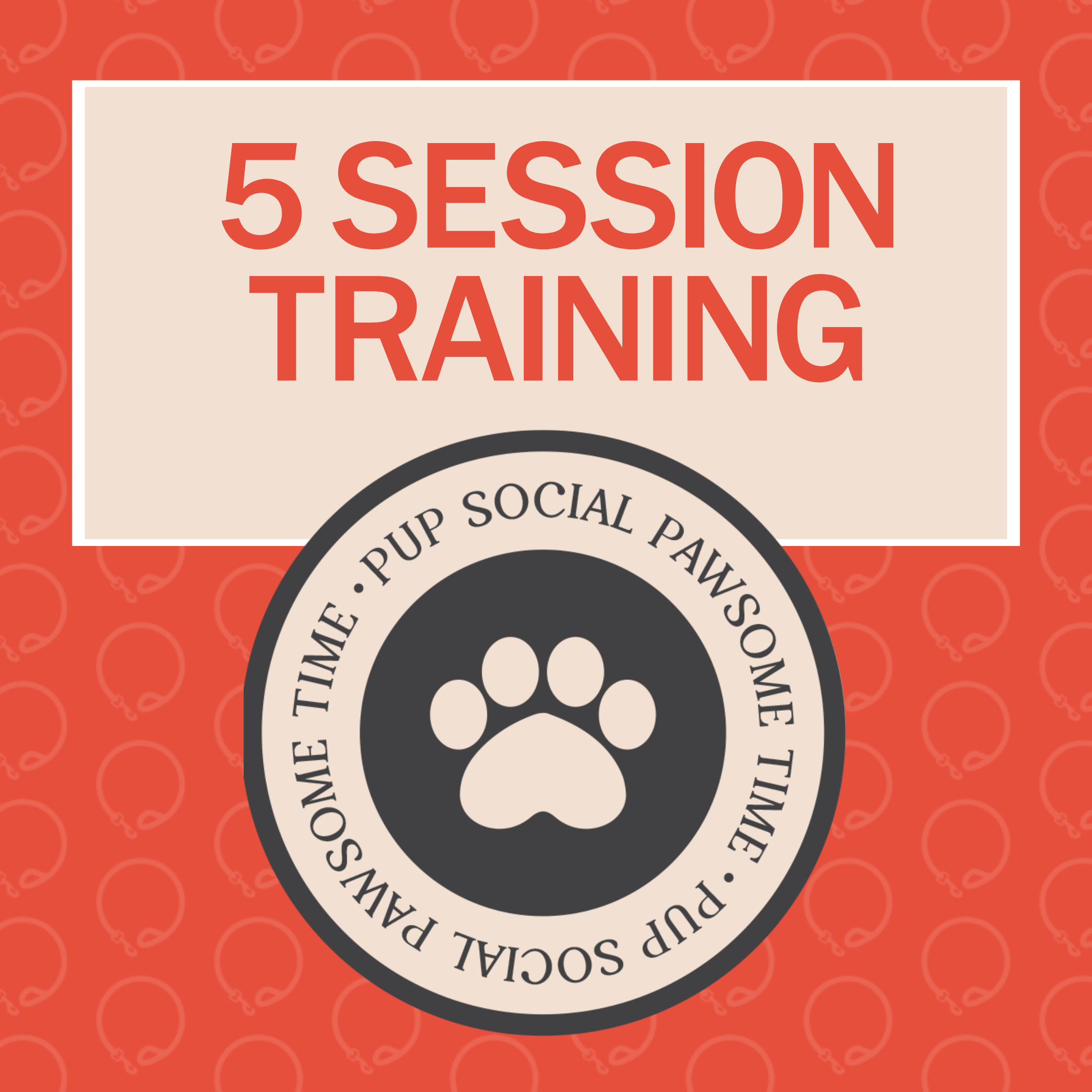 5 TRAINING SESSION