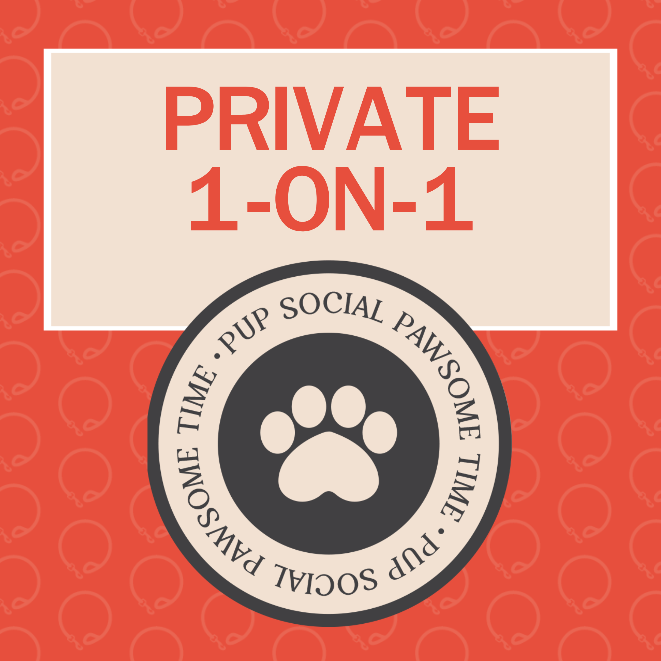 Private 1-on-1 Session
