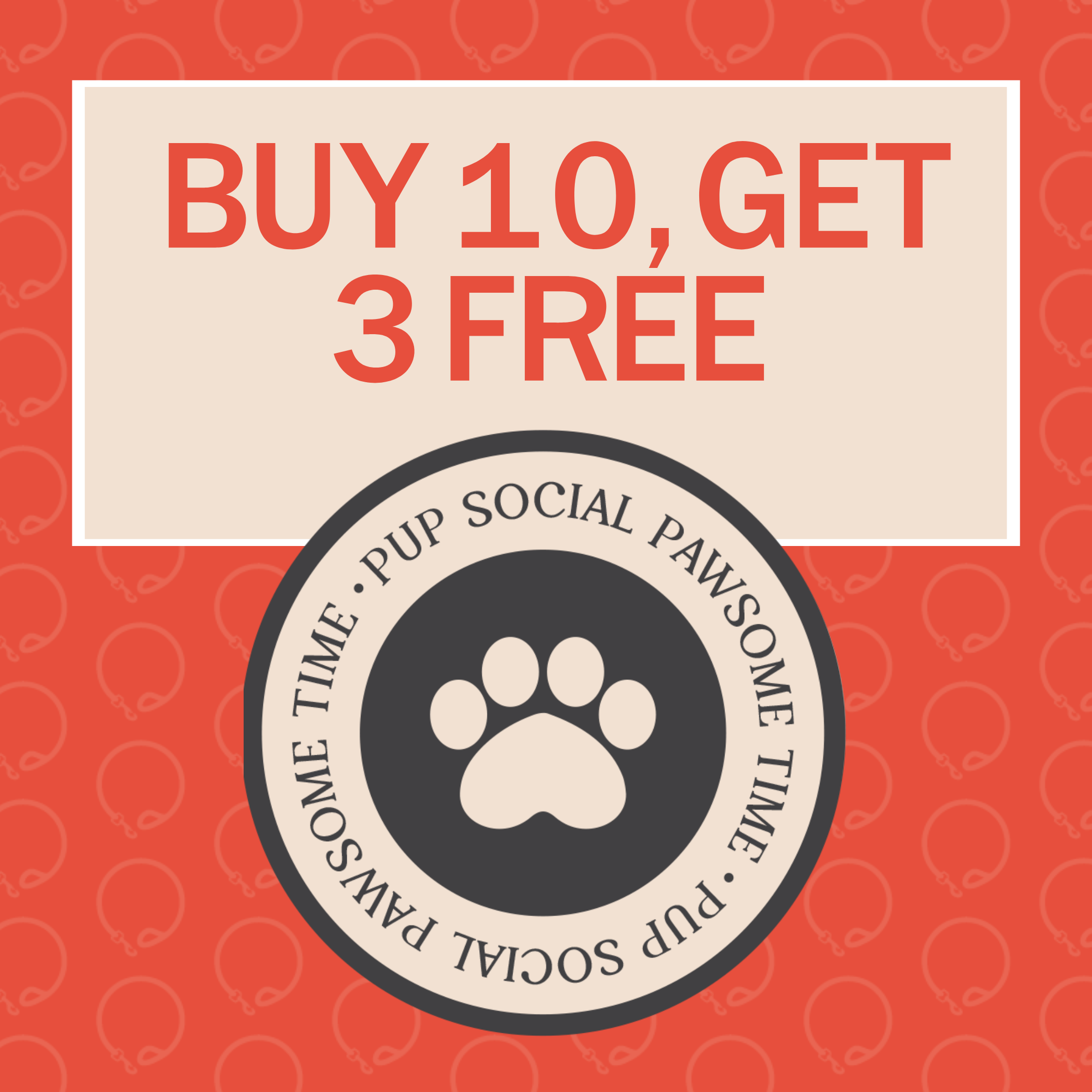 PS OFFLEASH PACKAGEL (11).png