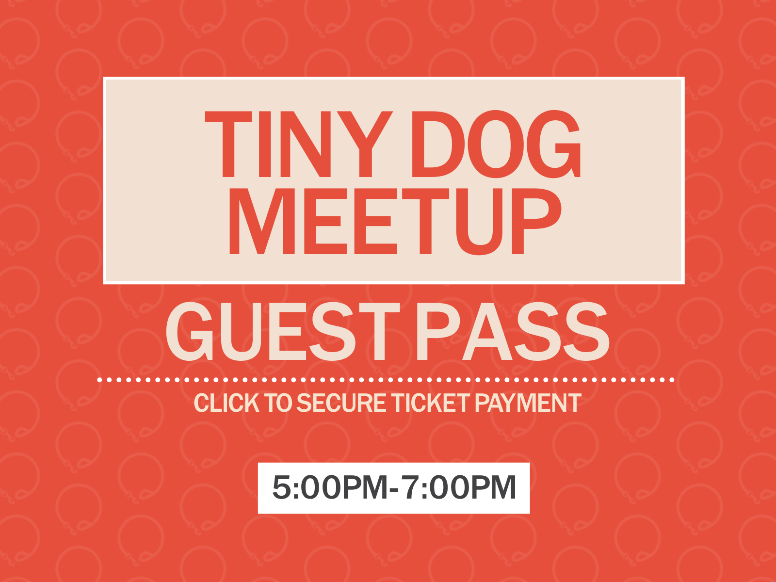 Tiny Dog Meetup