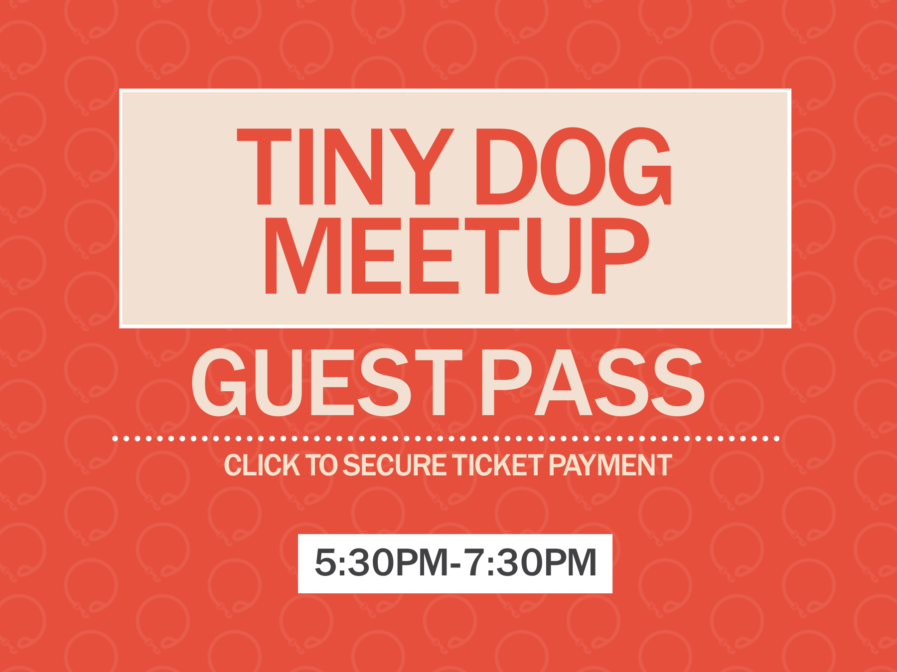 Tiny Dog Meetup