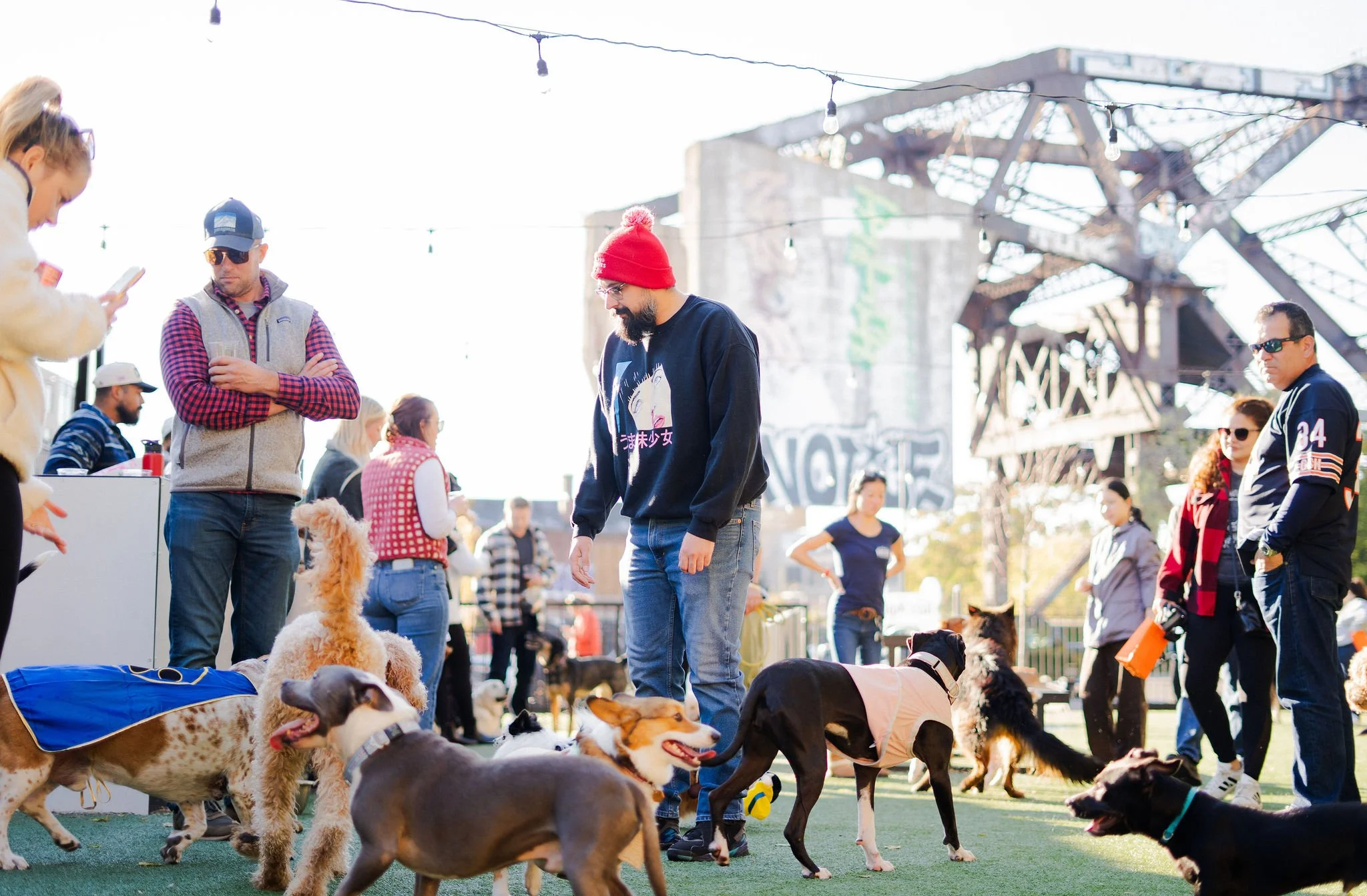 People gathered outdoors with their dogs during a daytime event. The scene includes various breeds of dogs and attendees standing or walking, with some interacting with the dogs. In the background, an old industrial structure and string lights are vi