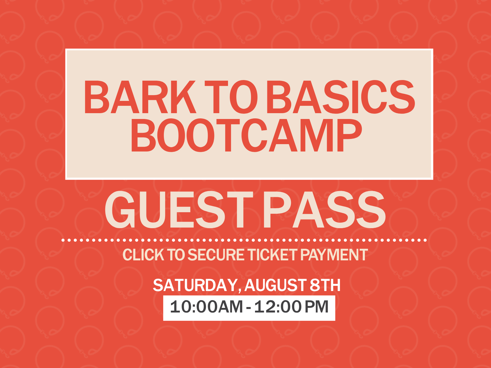 Bark to Basics Bootcamp