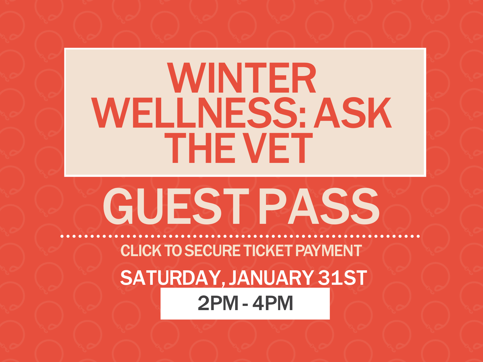 Winter Wellness: Ask the Vet