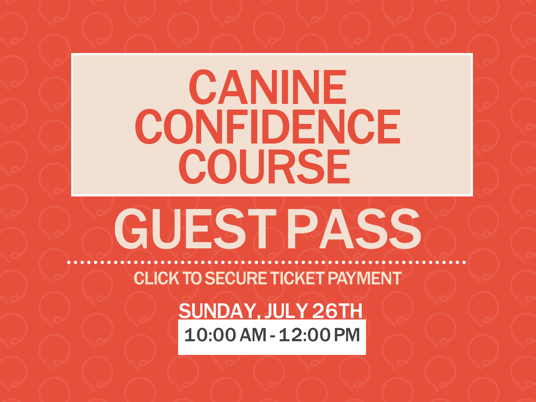 Canine Confidence Course