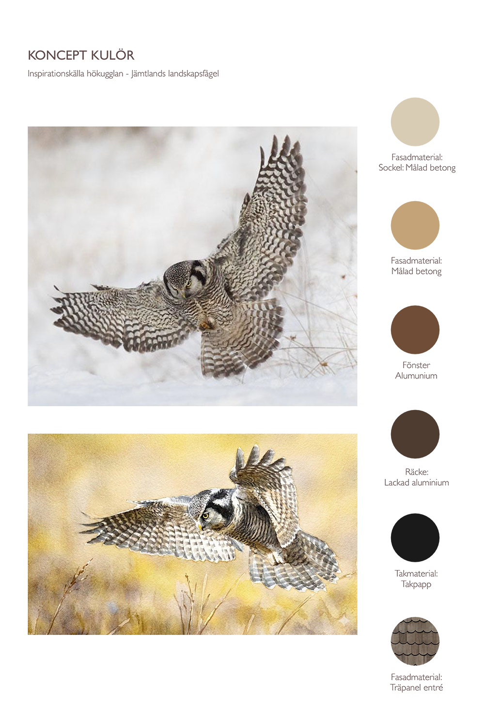 winroth arkitekter, koncept gestaltning, kulör gestaltning, fasader, hökuggla, inspiration