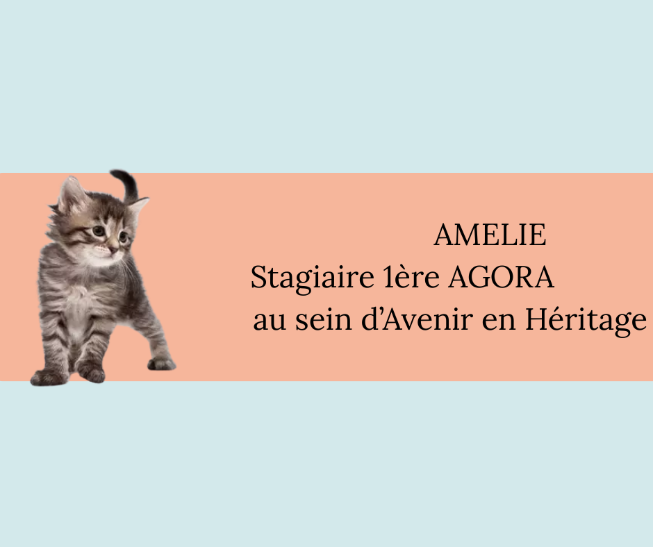 amelie.png
