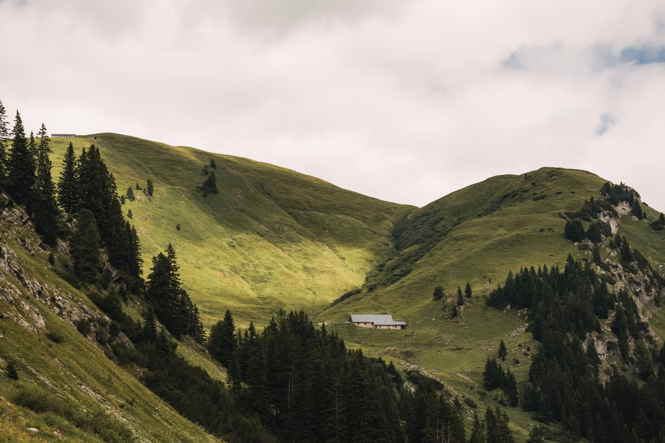 WARTH-SOMMER_250710_006_A-Lamprecht.jpg