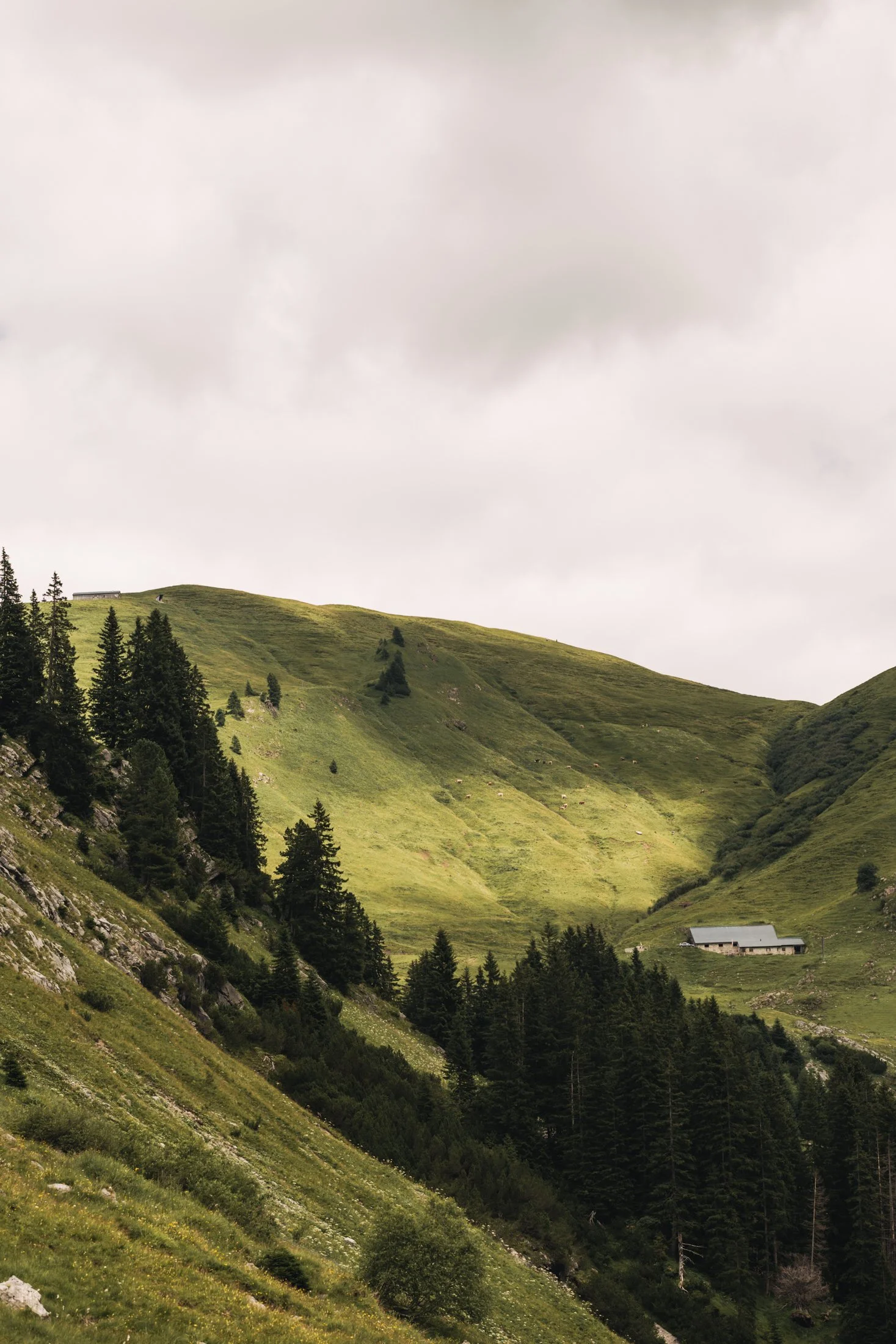 WARTH-SOMMER_250710_005_A-Lamprecht.jpg