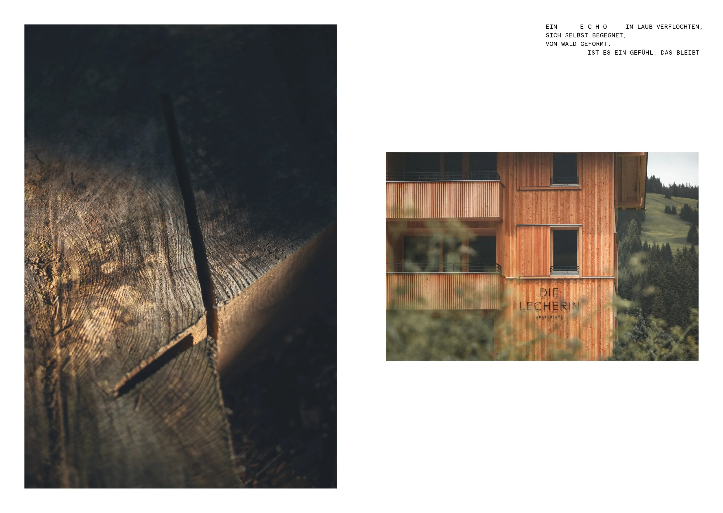 DLE_Imagebroschüre_WALD_A5_Ansicht17.jpg