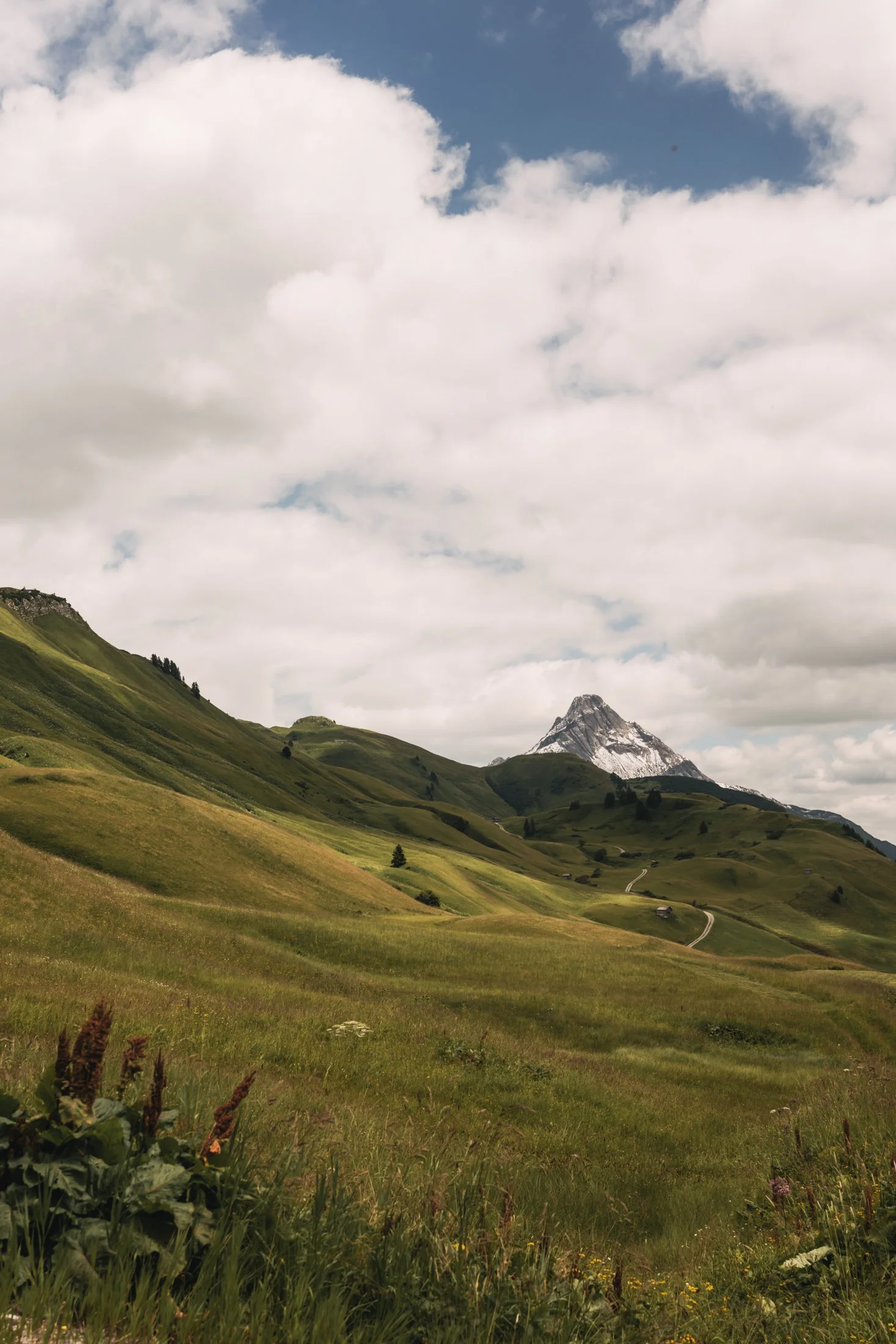 WARTH-SOMMER_250710_002_A-Lamprecht.jpg
