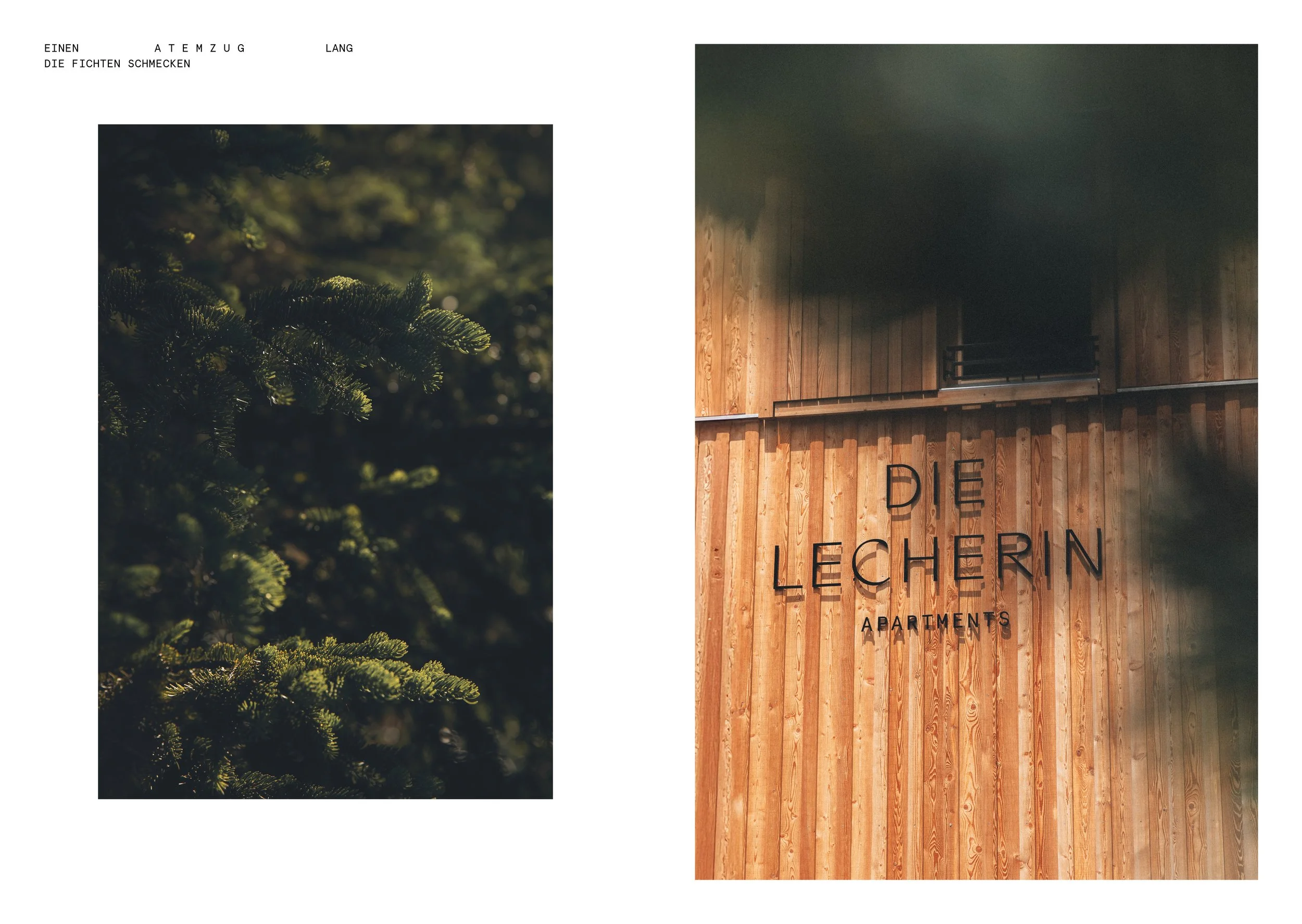 DLE_Imagebroschüre_WALD_A5_Ansicht4.jpg
