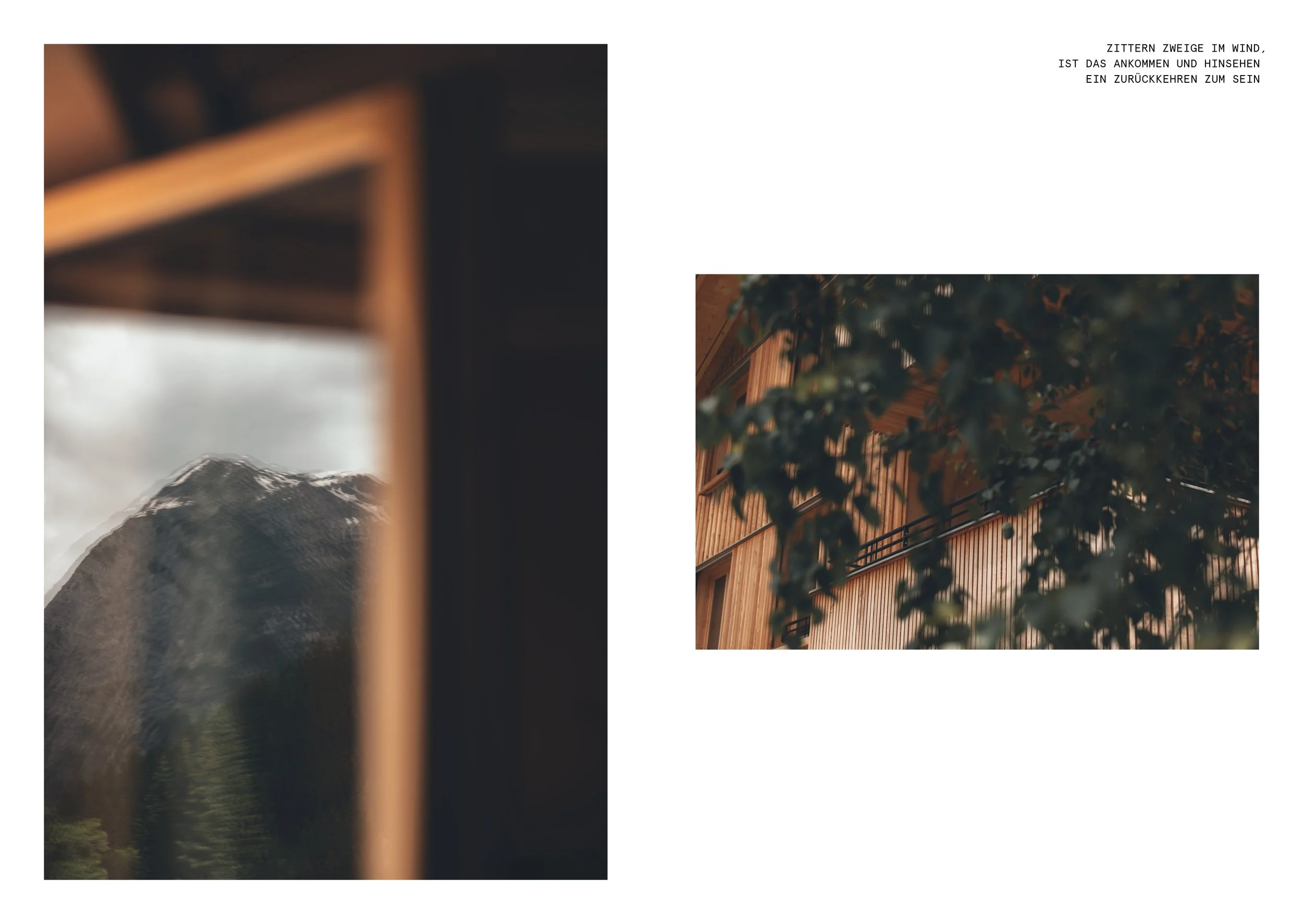 DLE_Imagebroschüre_WALD_A5_Ansicht5.jpg