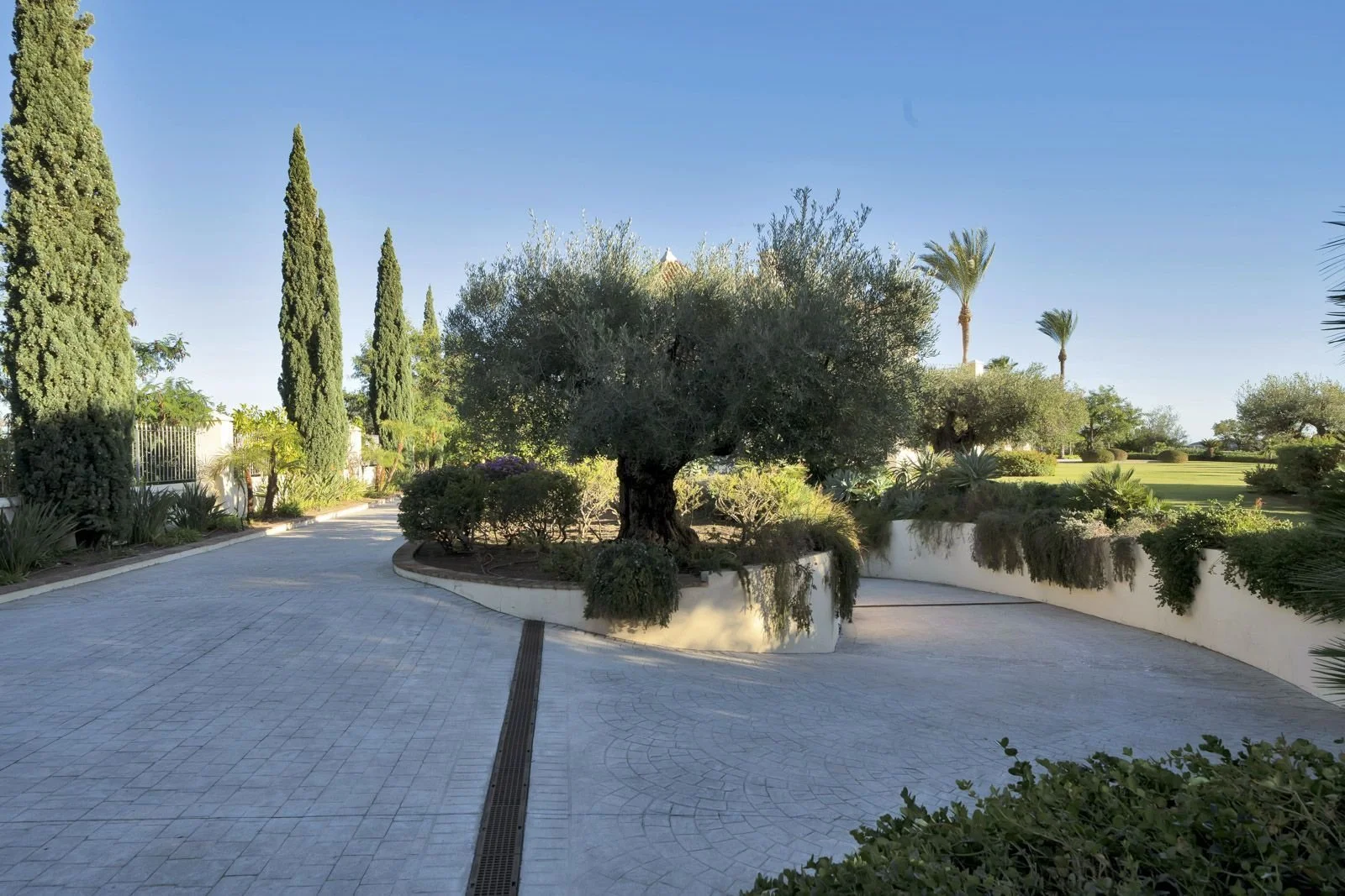 36-5481dce773b43582c3bf79f9c6226866 (12).jpg