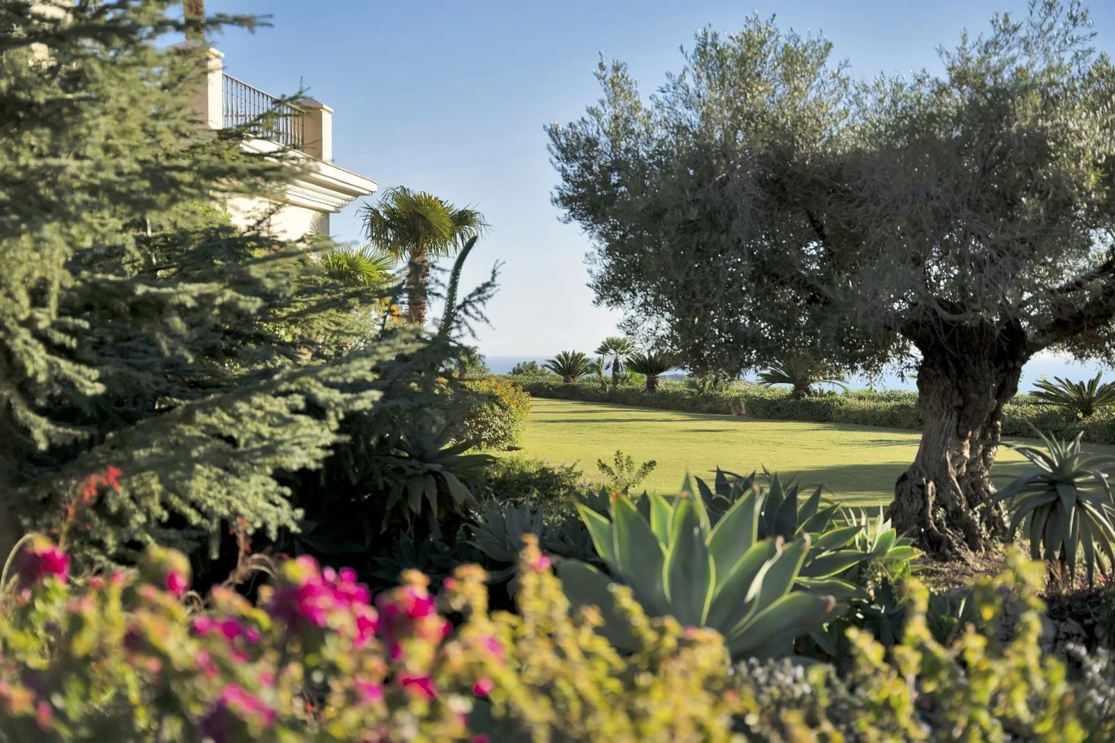 38-eaf7d50c8a94485f6f7bbe0f9cb05753 (8).jpg