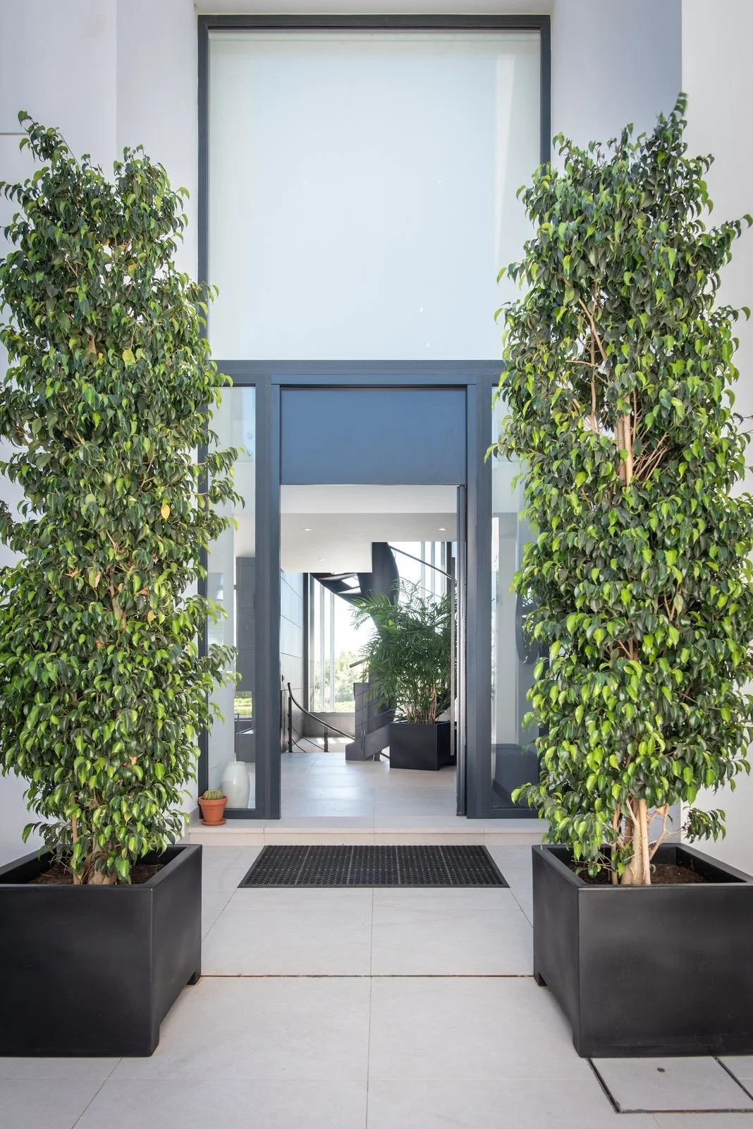 8-e64a9055bba3e77ac8aca3b893cdf826 - 2026-04-22T121231.546.jpg