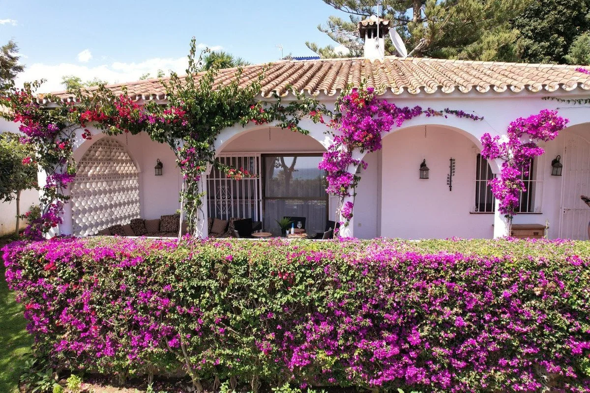 3-e898b2bb2a2fdfd06d2c39894dce8316 - 2026-02-27T153408.892.jpg