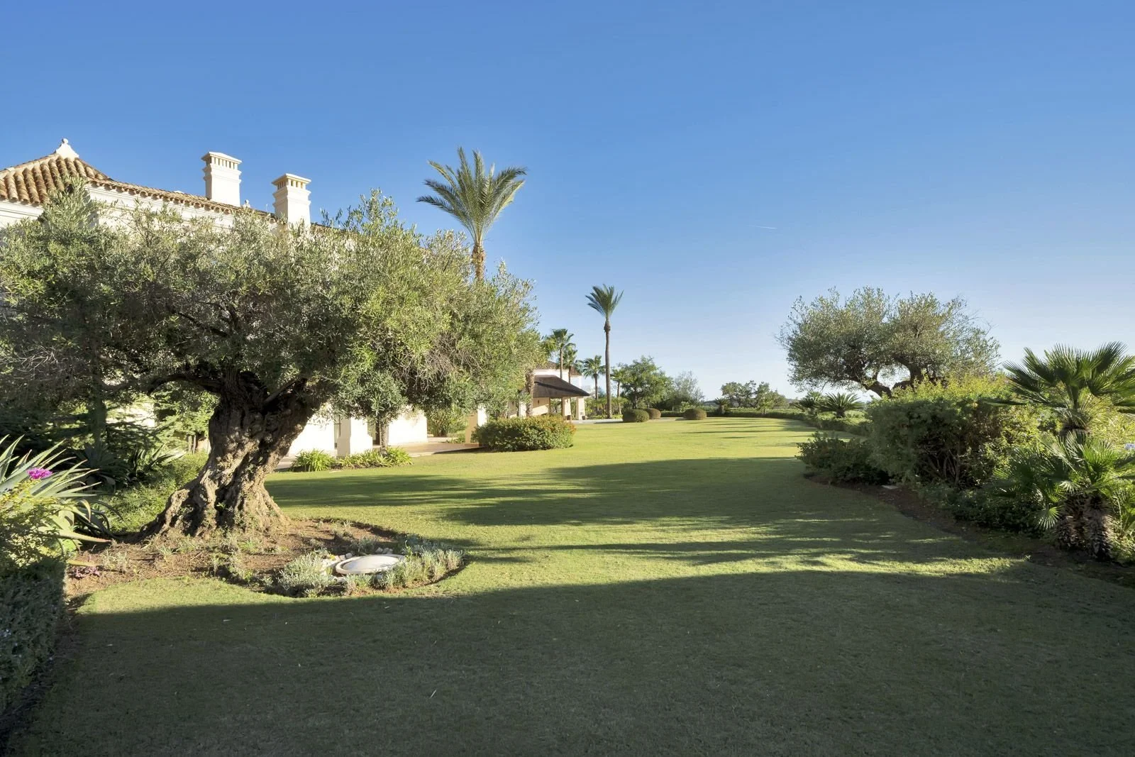 37-7c8938eb4835f4a40f347690354a83a0 (10).jpg