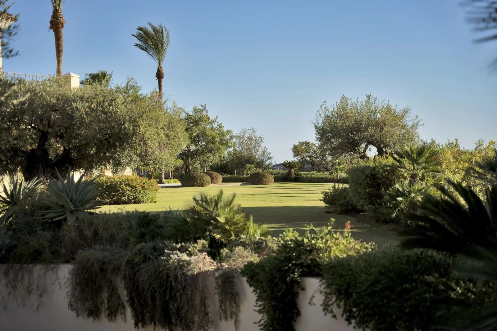 39-d6d0c795fba570369850bf7142d03556 (8).jpg