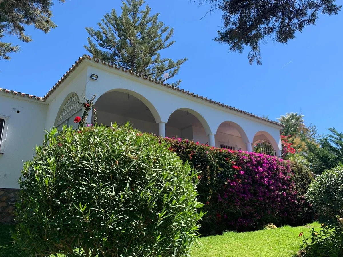 6-241328e1bcc9c0d8ce1222beb6c967a8 - 2026-02-27T153416.967.jpg