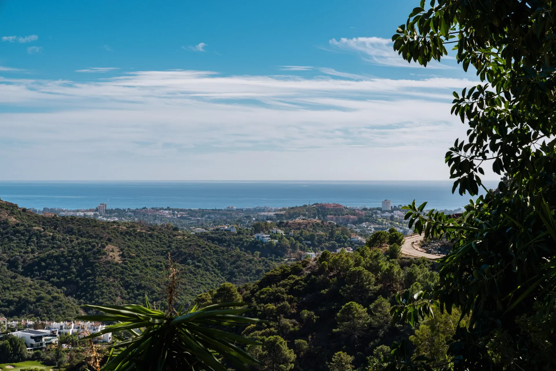 2200xxs - 2026-01-17T223041.597.webp