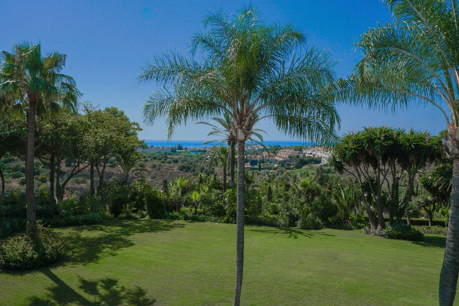 21 - 2025-10-31T184451.612.jpg