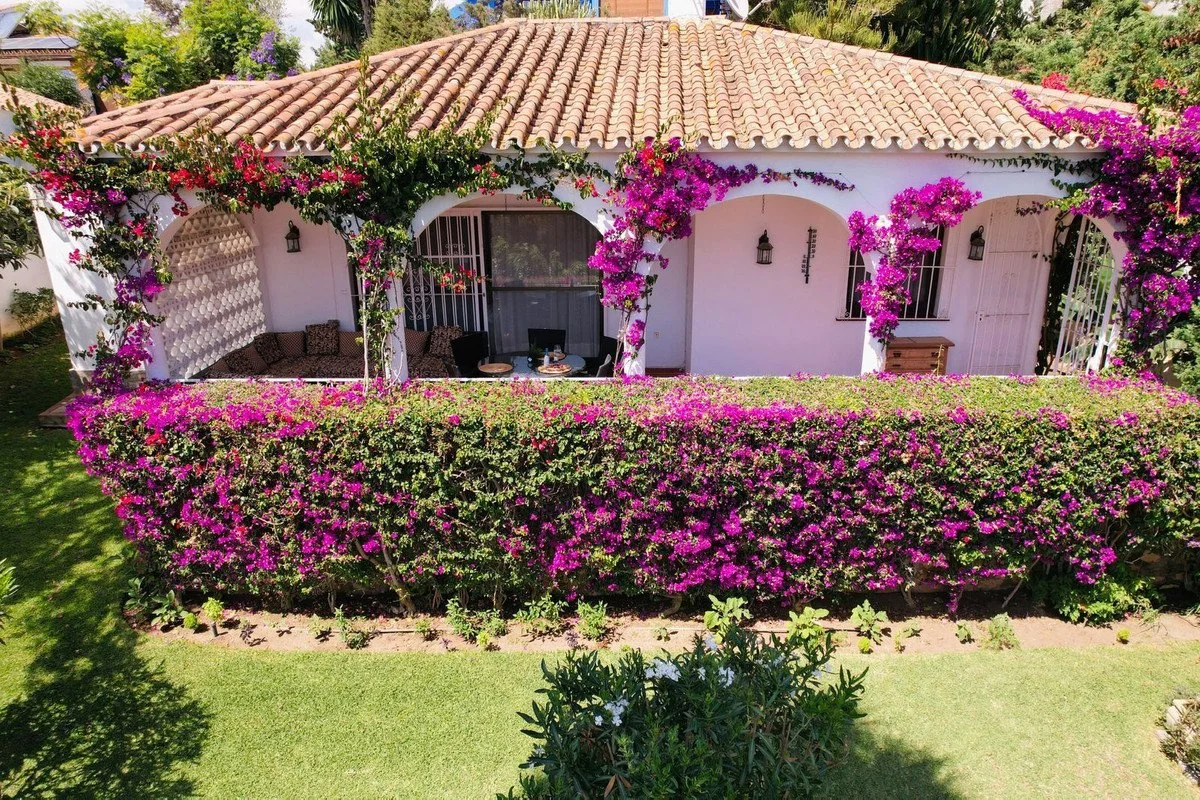 10-bb915d1cb19341576dcdc994b81ab9c5 - 2026-02-27T153428.223.jpg