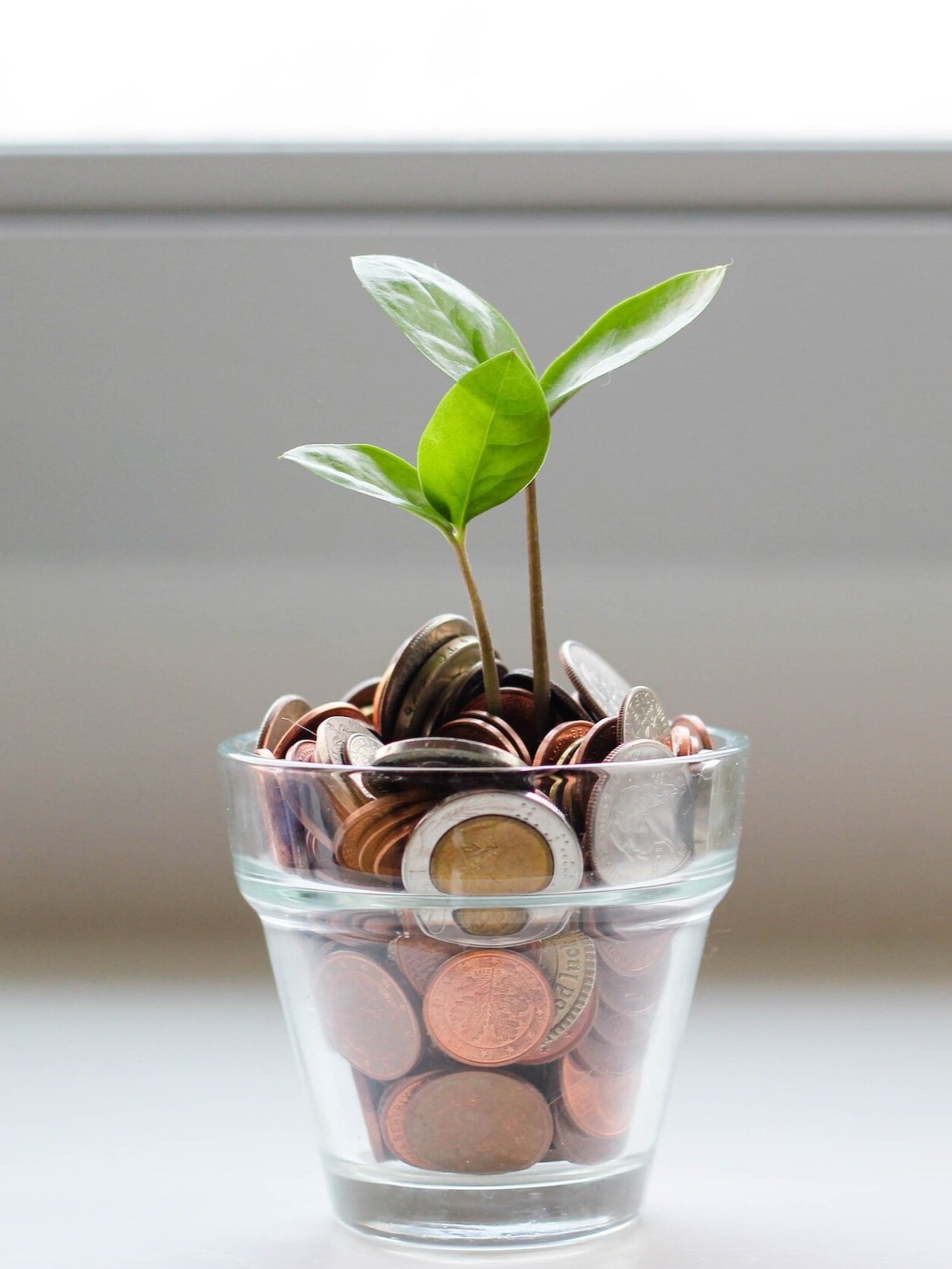 A glass container filled with coins, with a small green plant growing from the coins against a light background.