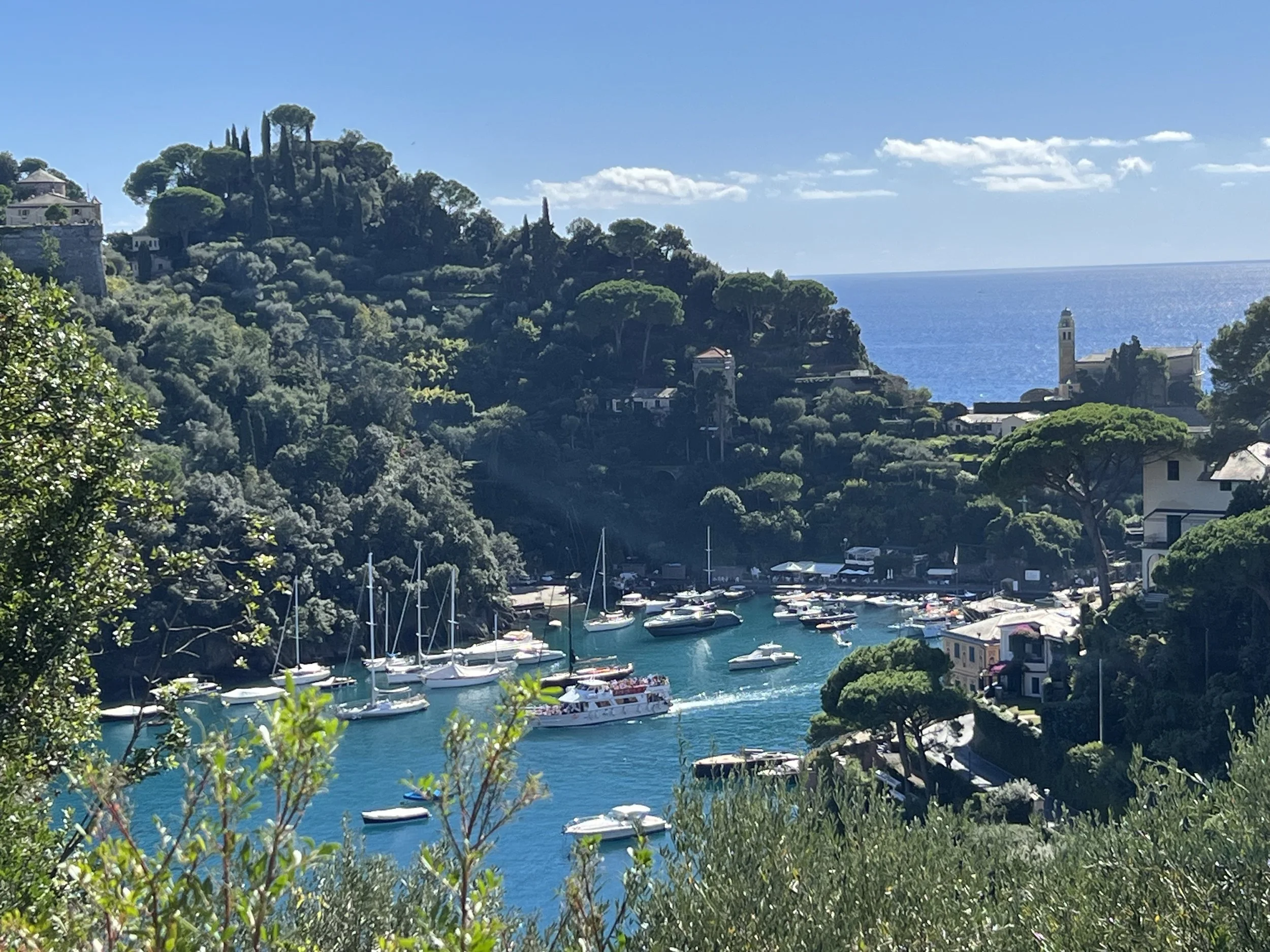 A scenic coastal view with a marina filled with sailboats and yachts, surrounded by lush green hills and houses, with the ocean and blue sky in the background.