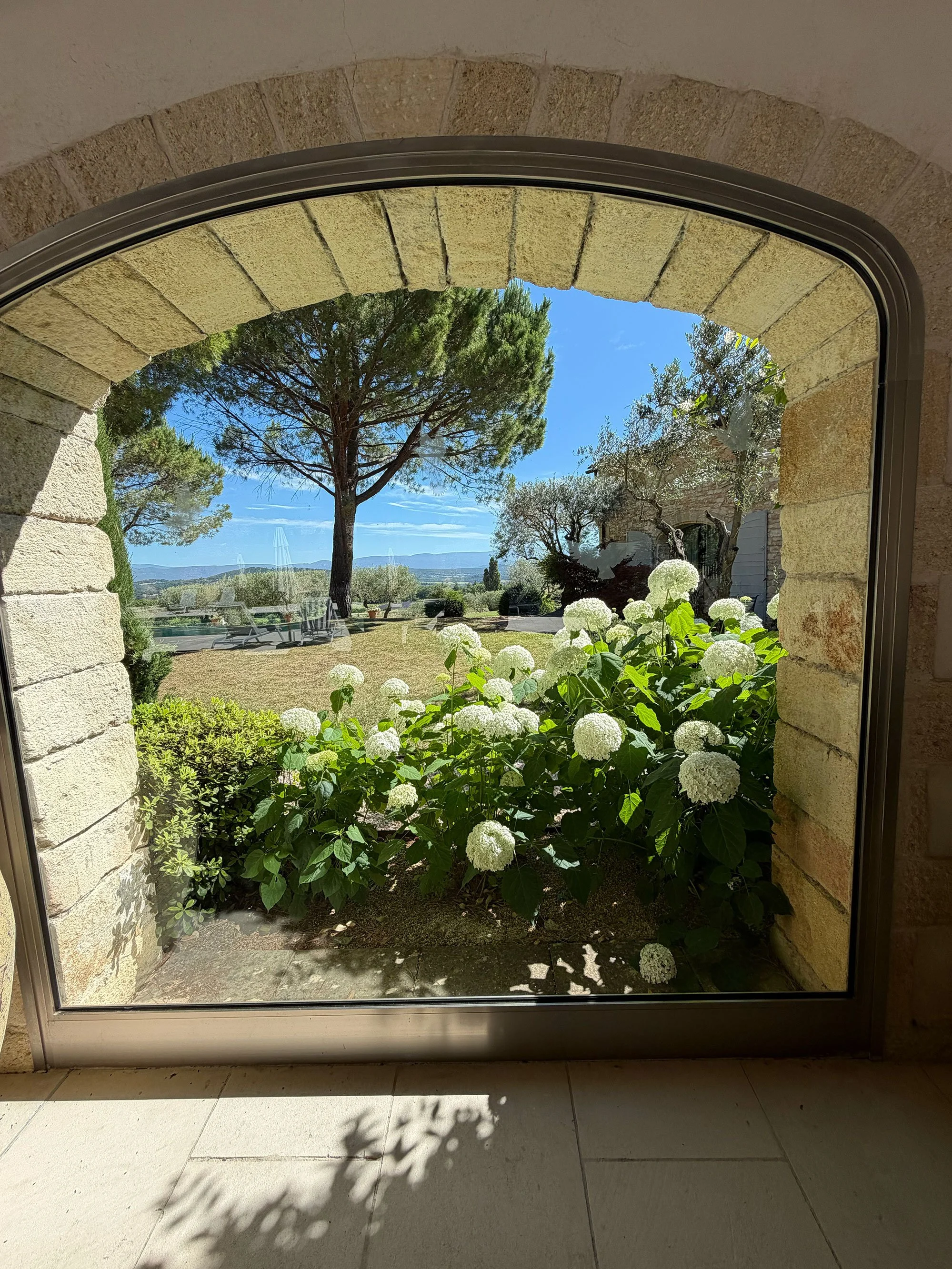 A view through a window shows green trees, white hydrangea flowers, and a sunny sky with some clouds.