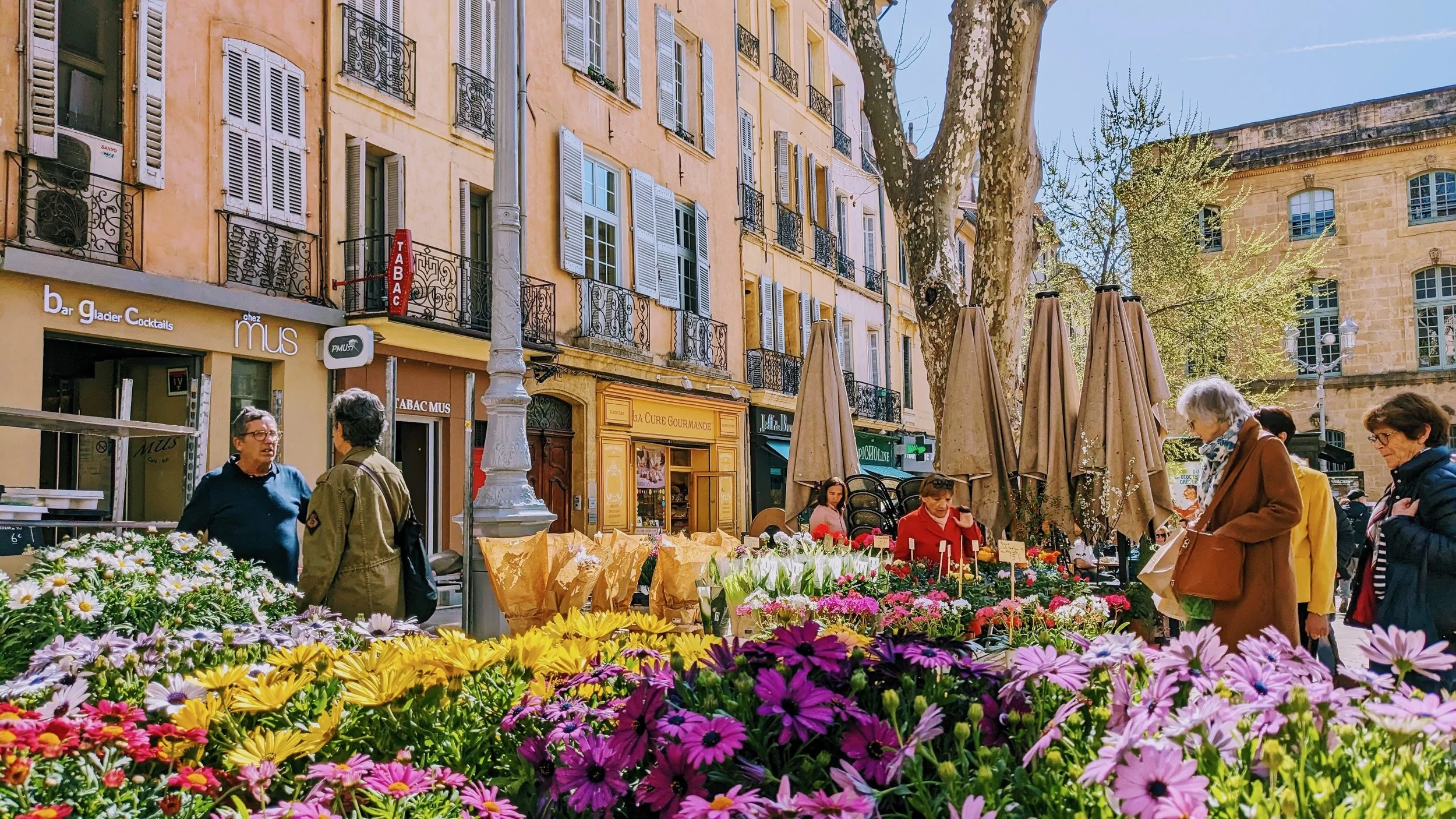 Villages &amp; Vineyards in Provence - June 13-20, 2026