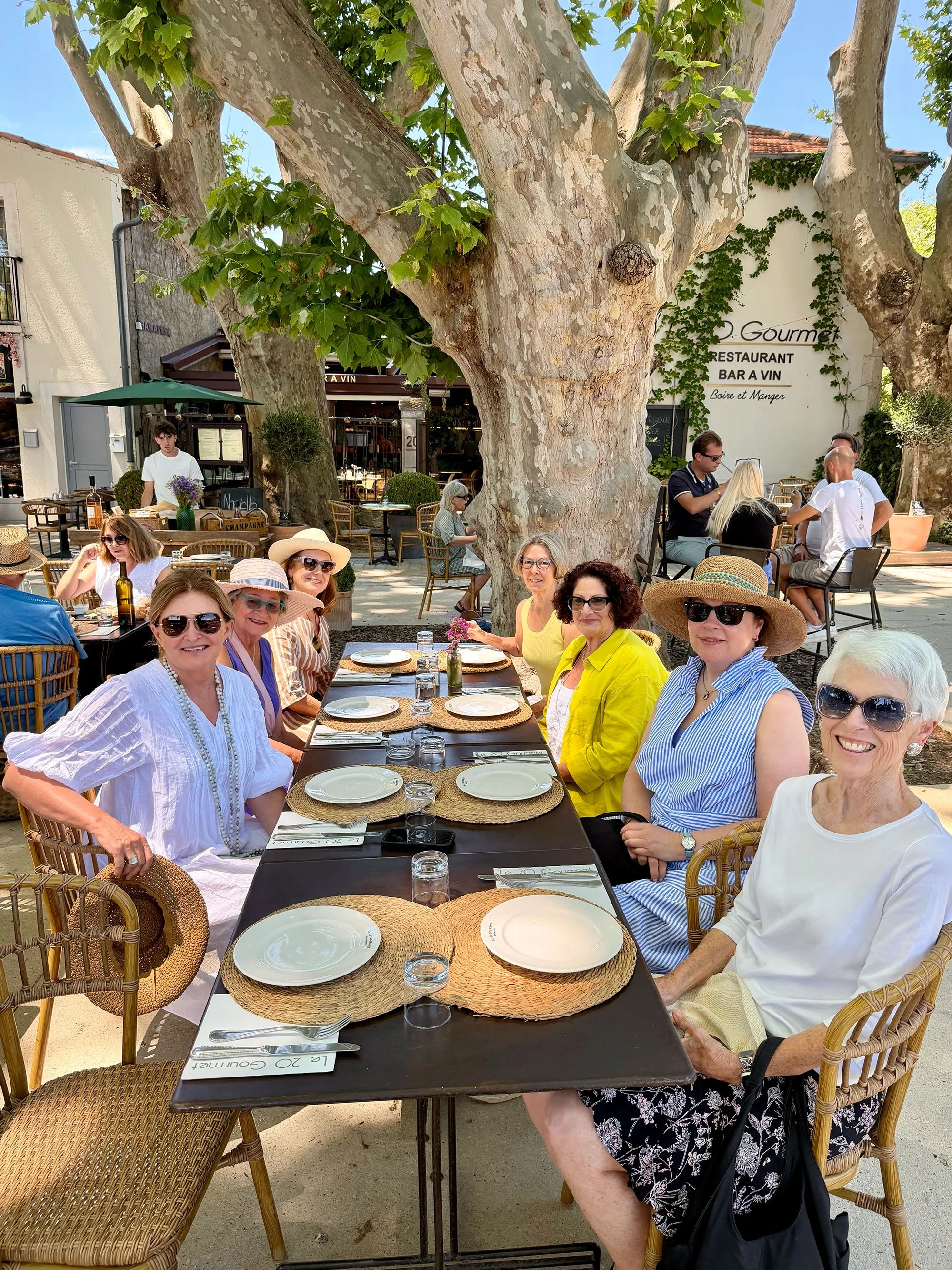 A group of people sitting outdoors at a table in a sunny cafe or restaurant, with large trees providing shade and a white building with greenery in the background.