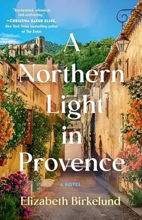 Cover of the novel 'A Northern Light in Provence' by Elizabeth Birkelund, depicting a scenic Provencal alleyway with warm-colored buildings, flowering plants, and a bright blue sky.