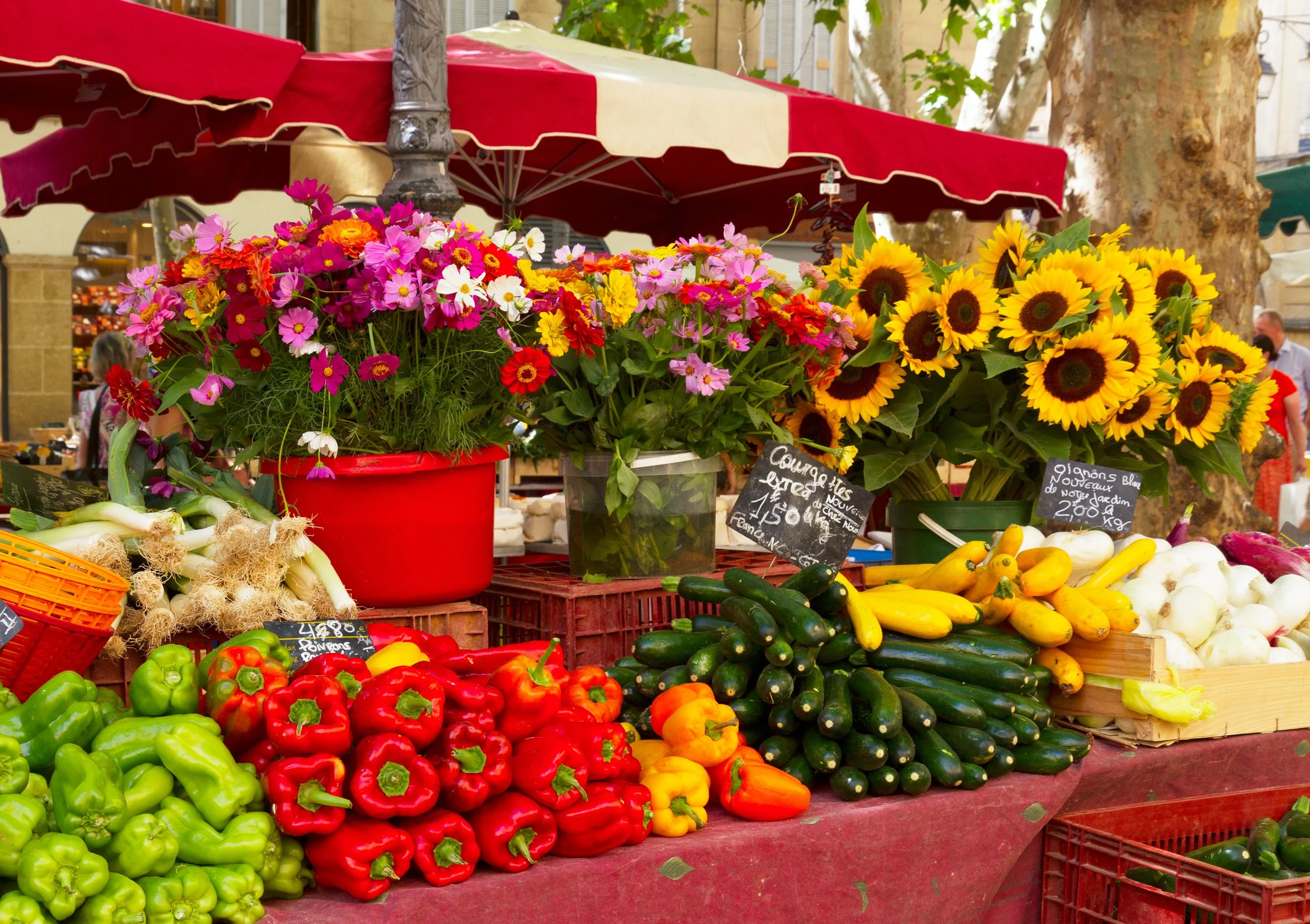 Market to Table: A Provençal Culinary Journey